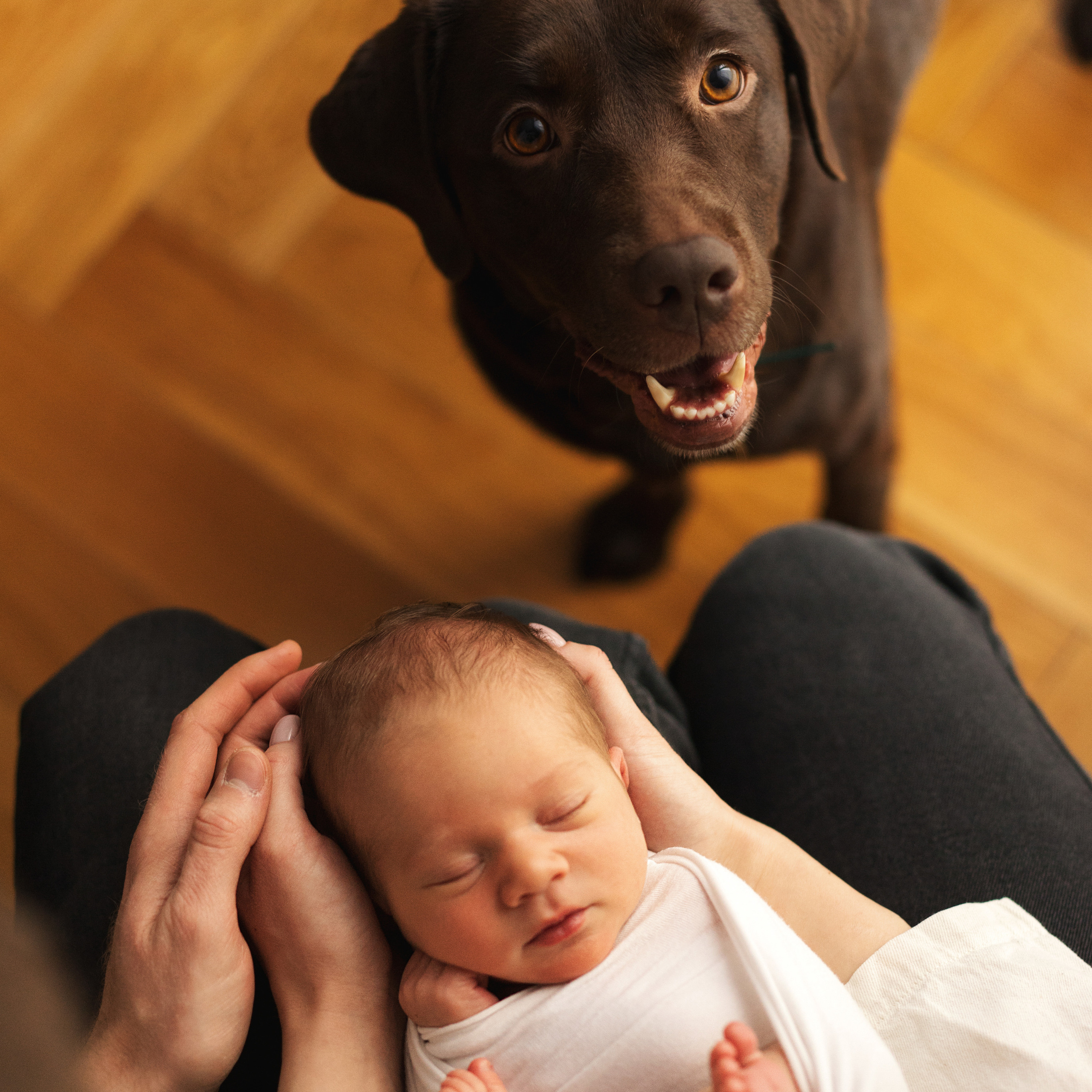 Отзывы. Фотограф новорожденных у вас дома