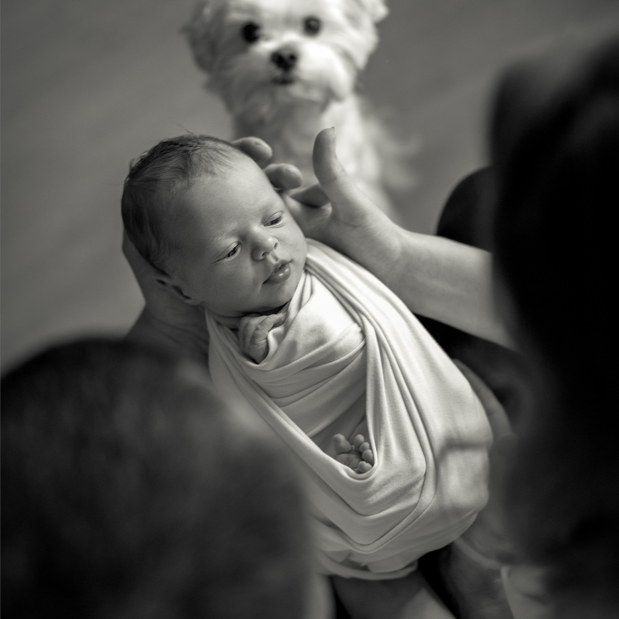 Отзывы. Фотограф новорожденных у вас дома