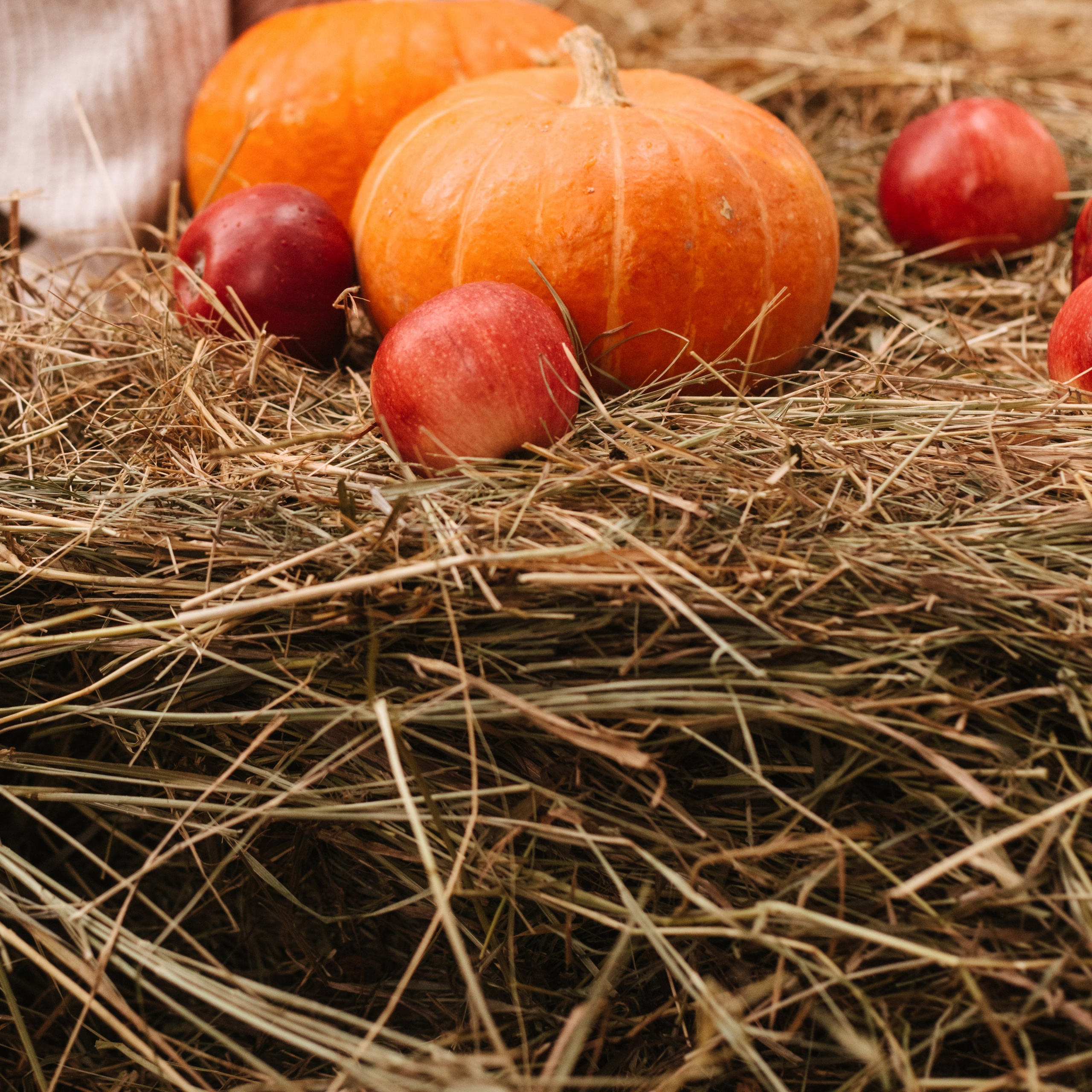 Отзывы. Фотограф в Волгограде и Москве | Анастасия Лаврова