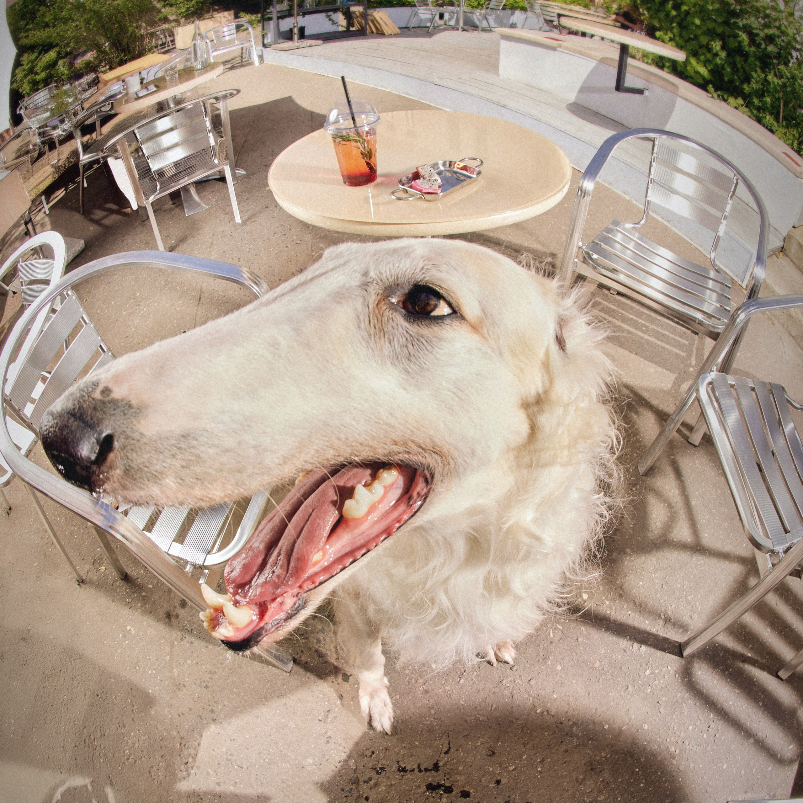 Рокет банк. Главная