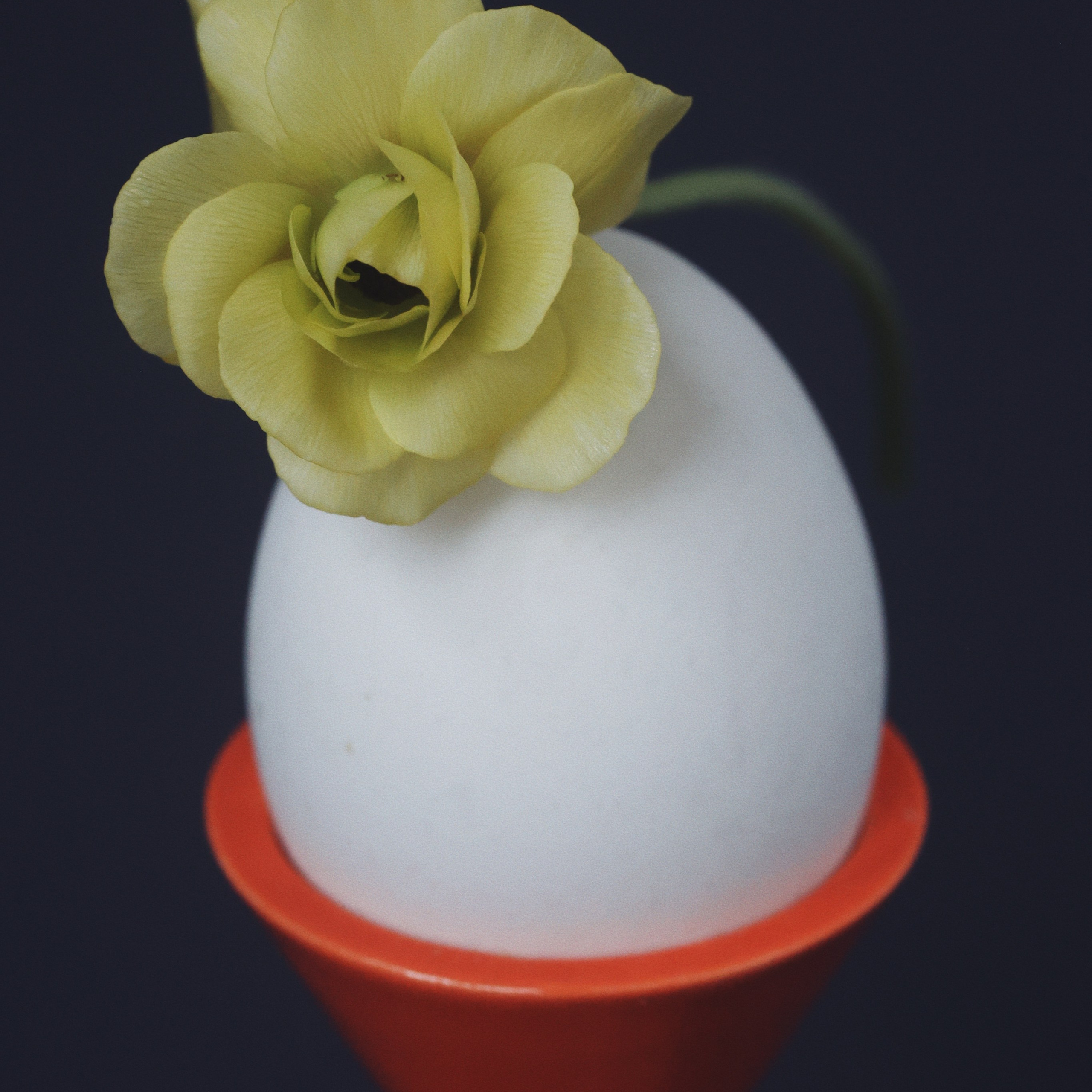 Keslerceramics. Сет-дизайнер и предметный фотограф в Москве Каракулова Диана