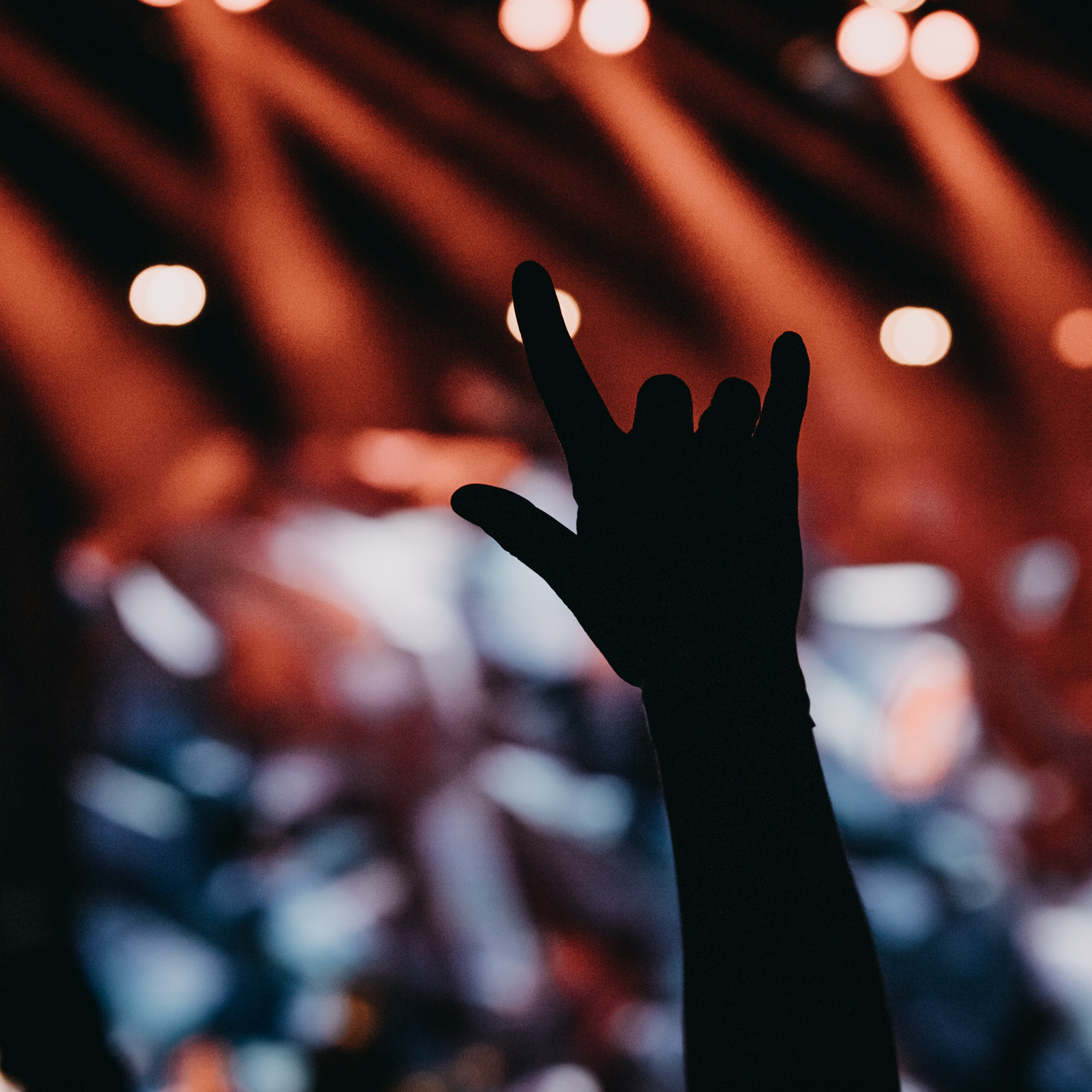 группа «КИНО» | дворец спорта