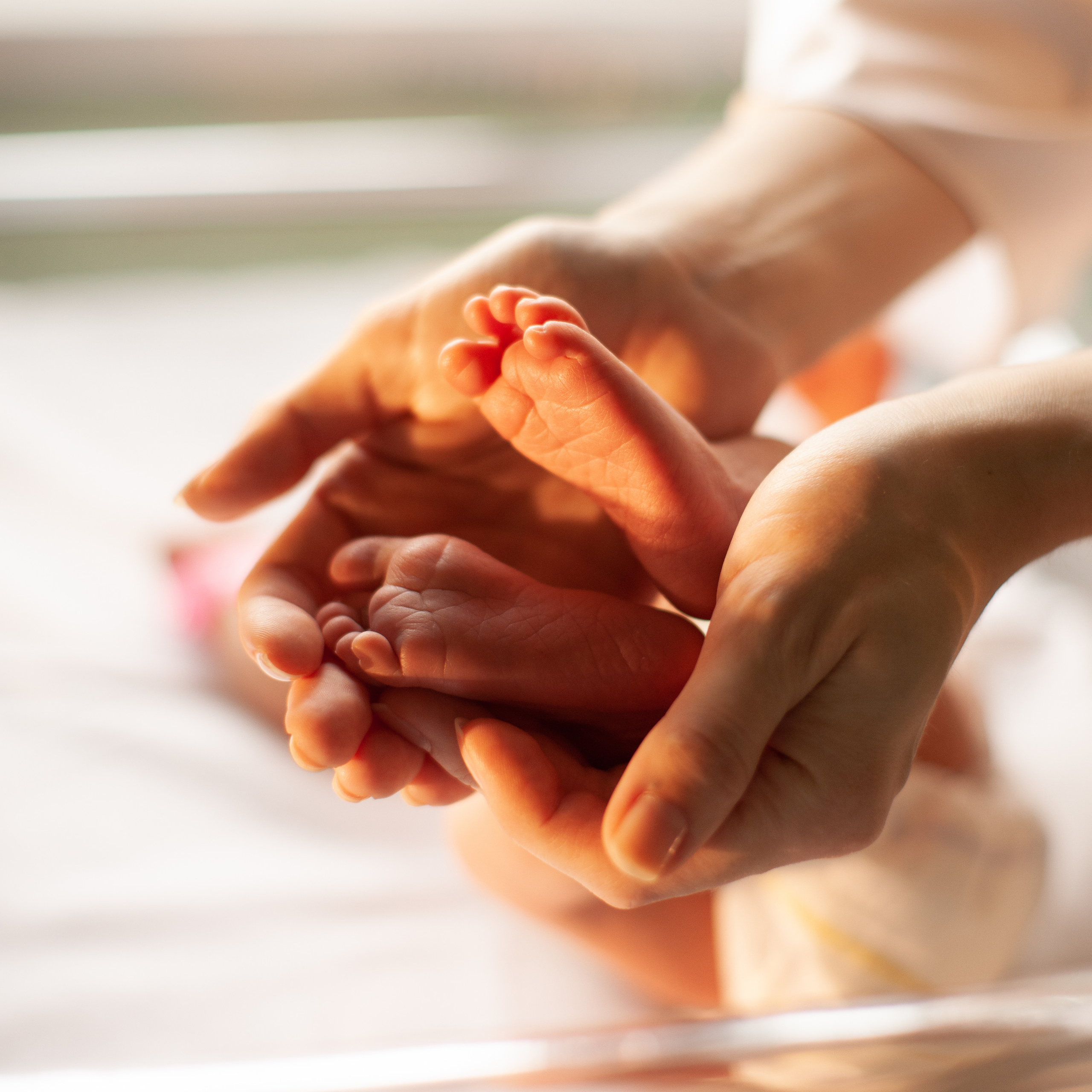 Выписка Алисы