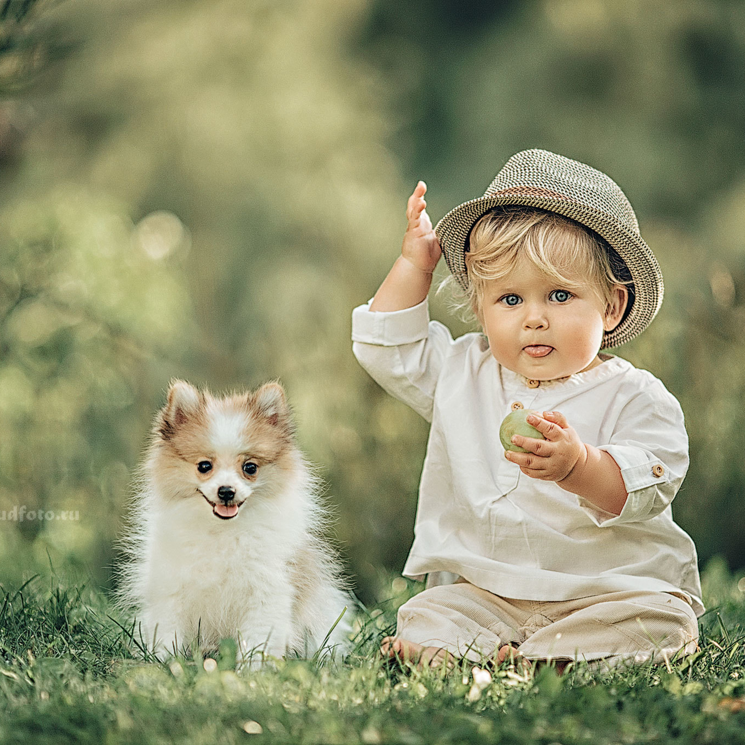 Маленький мальчик в шляпе 1 год сидит на траве в парке с собакой породы шпиц