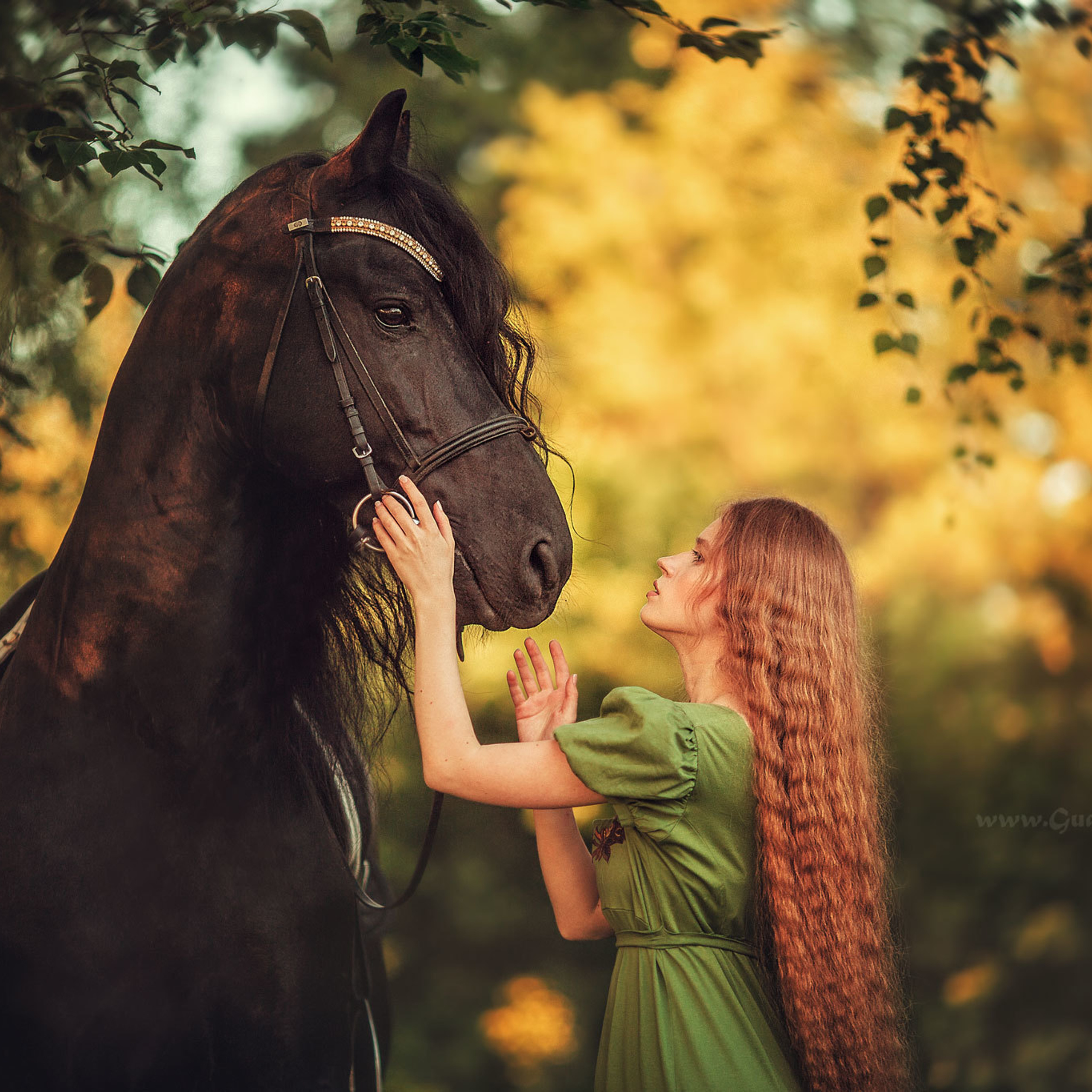 Портрет рыжая девушка в зеленом платье с черным конем фризской породы