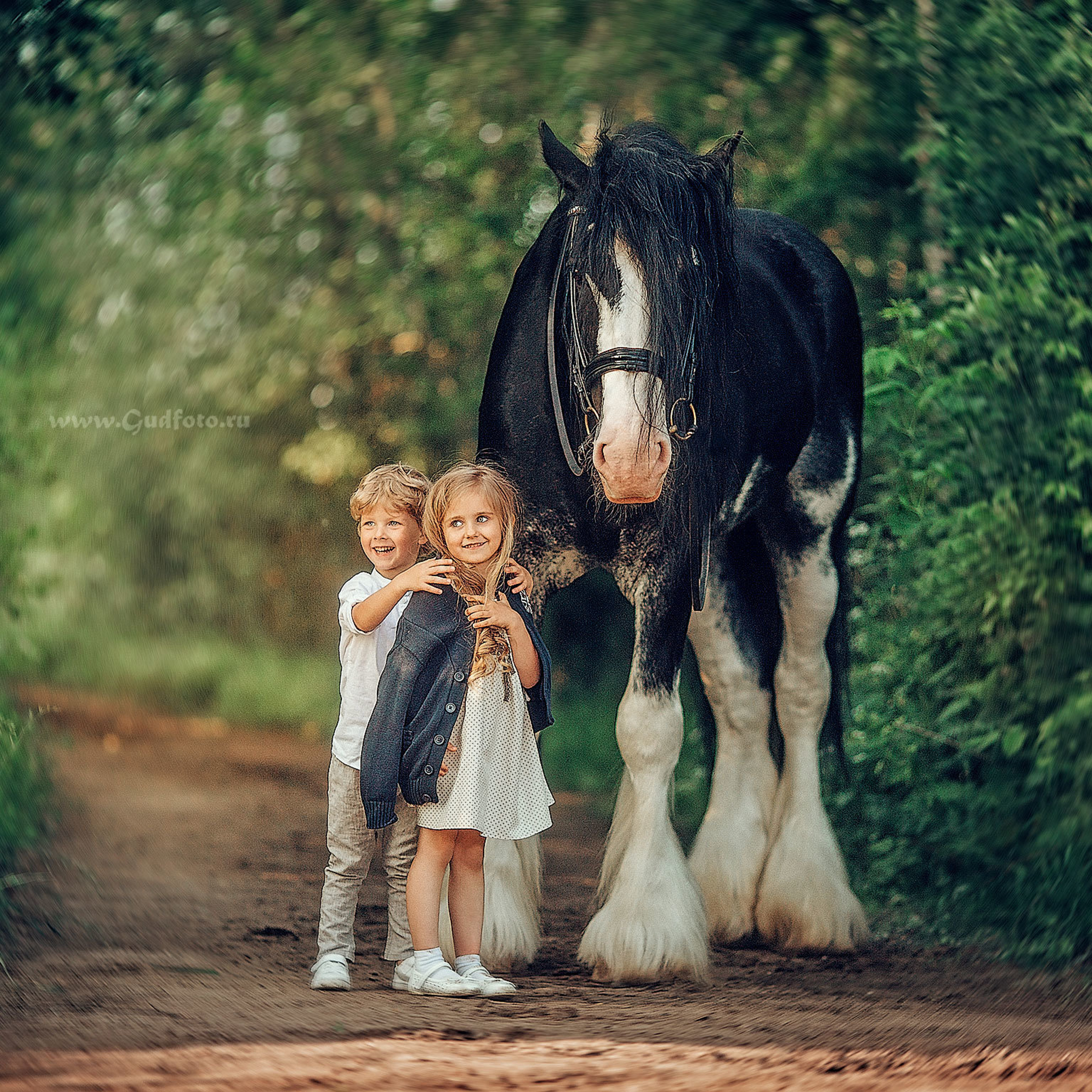 Девочка  блондинка и мальчик 3 лет держит лошадь породы клейдесдаль по кличке Зак летом в парке