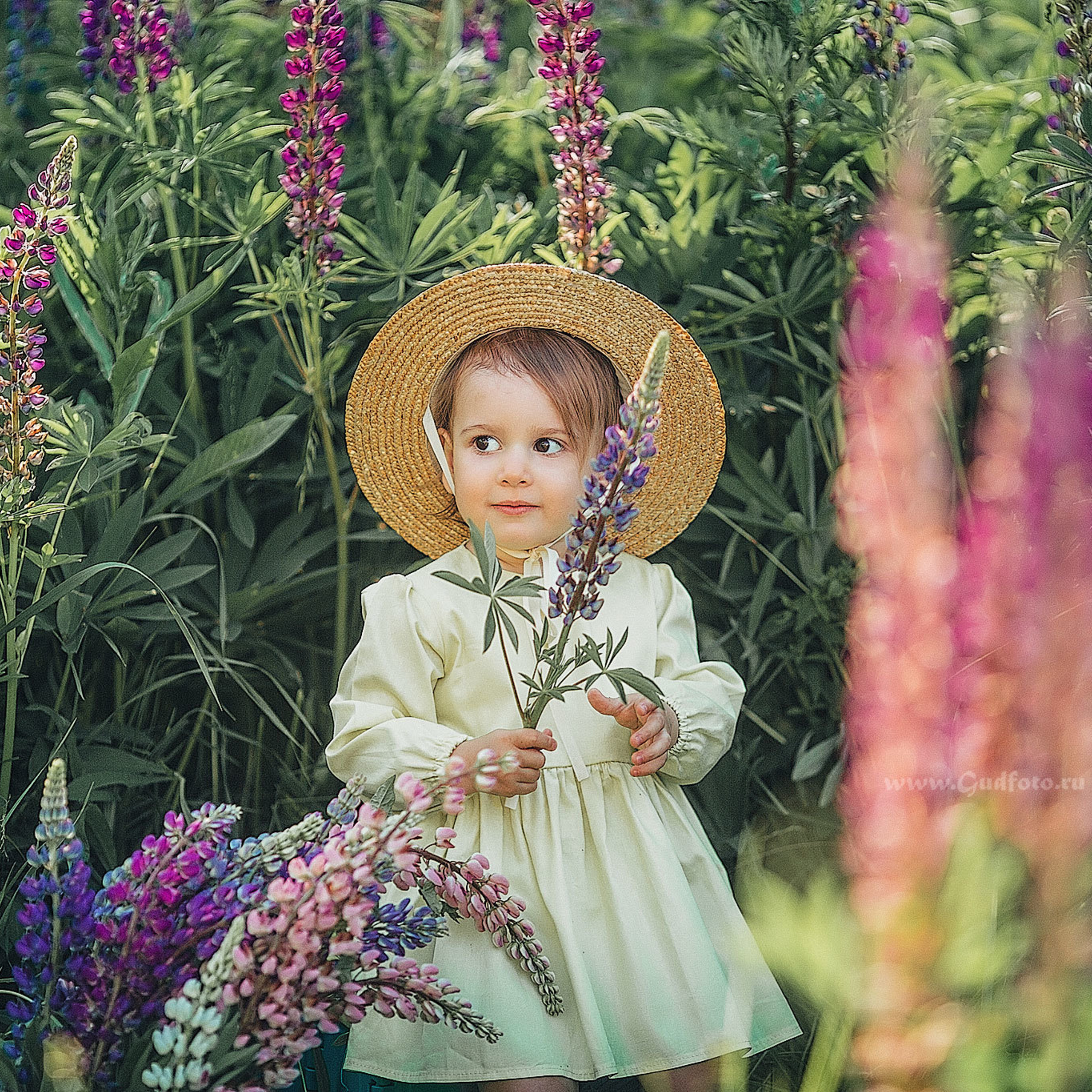 Девочка в шляпке с белым кроликом в парке на природе летом в поле с розовыми люпинами