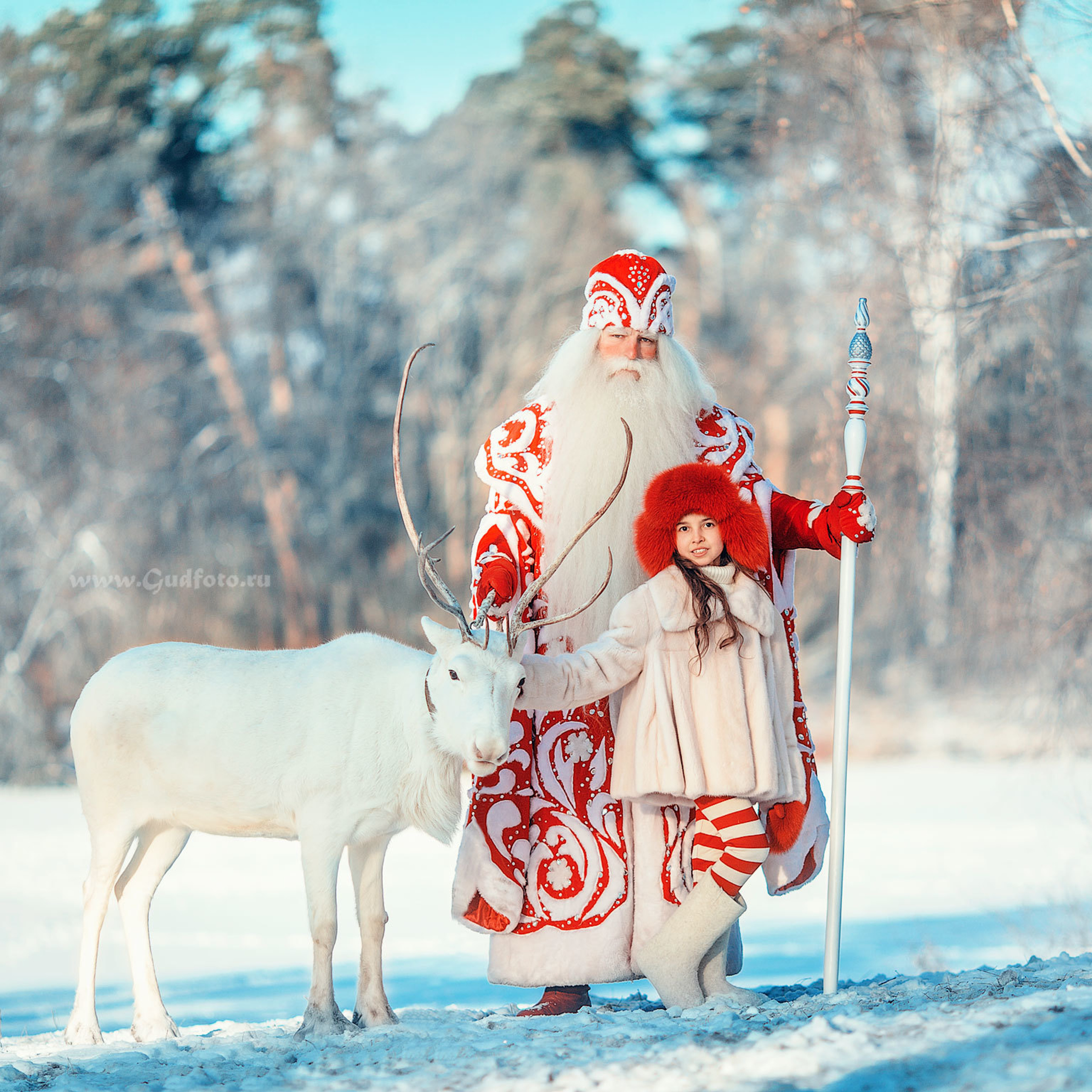 Белый олень и дедмороз зимой на снегу в лесу