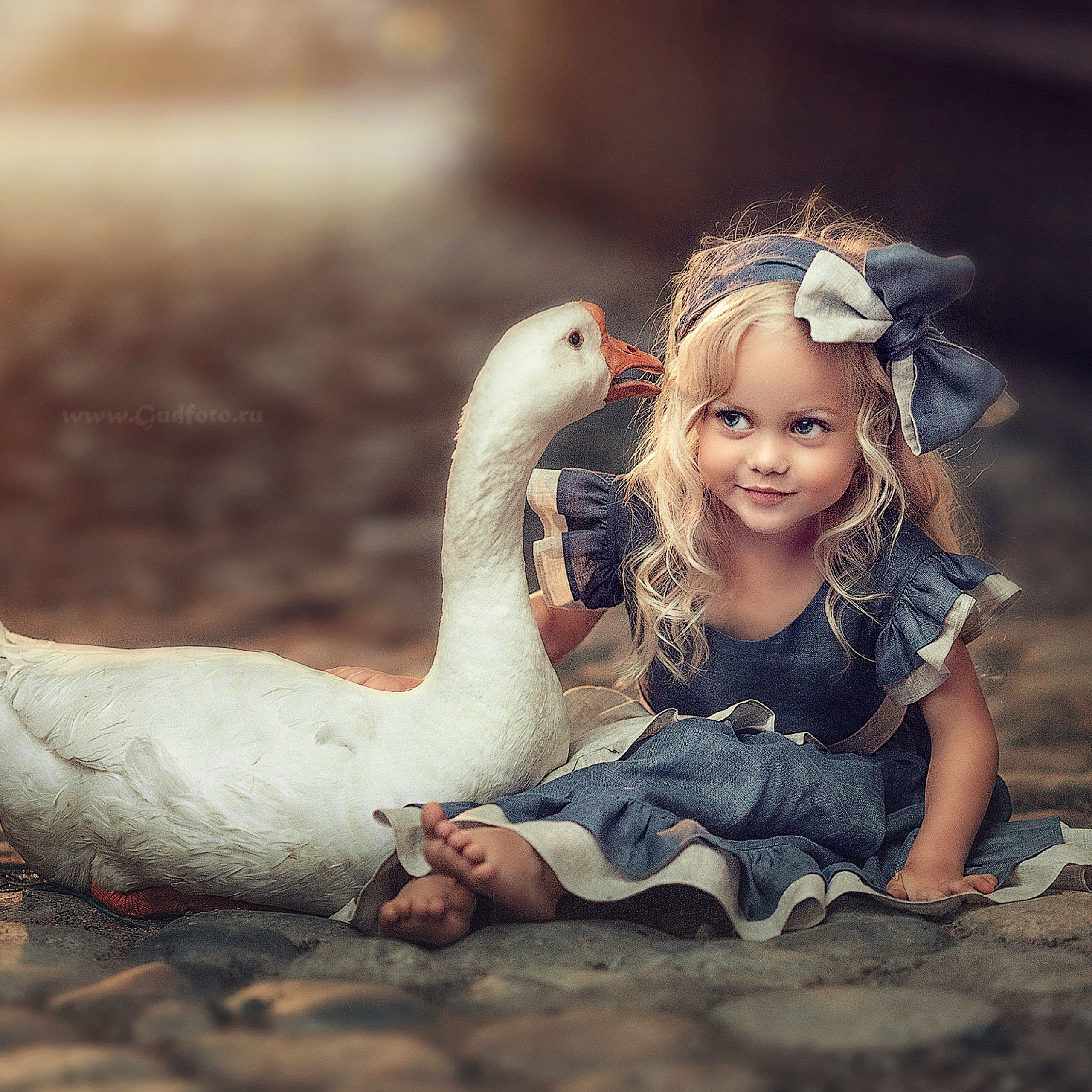 Красивая девочка Виола блондинка сидит на камнях с белым гусем