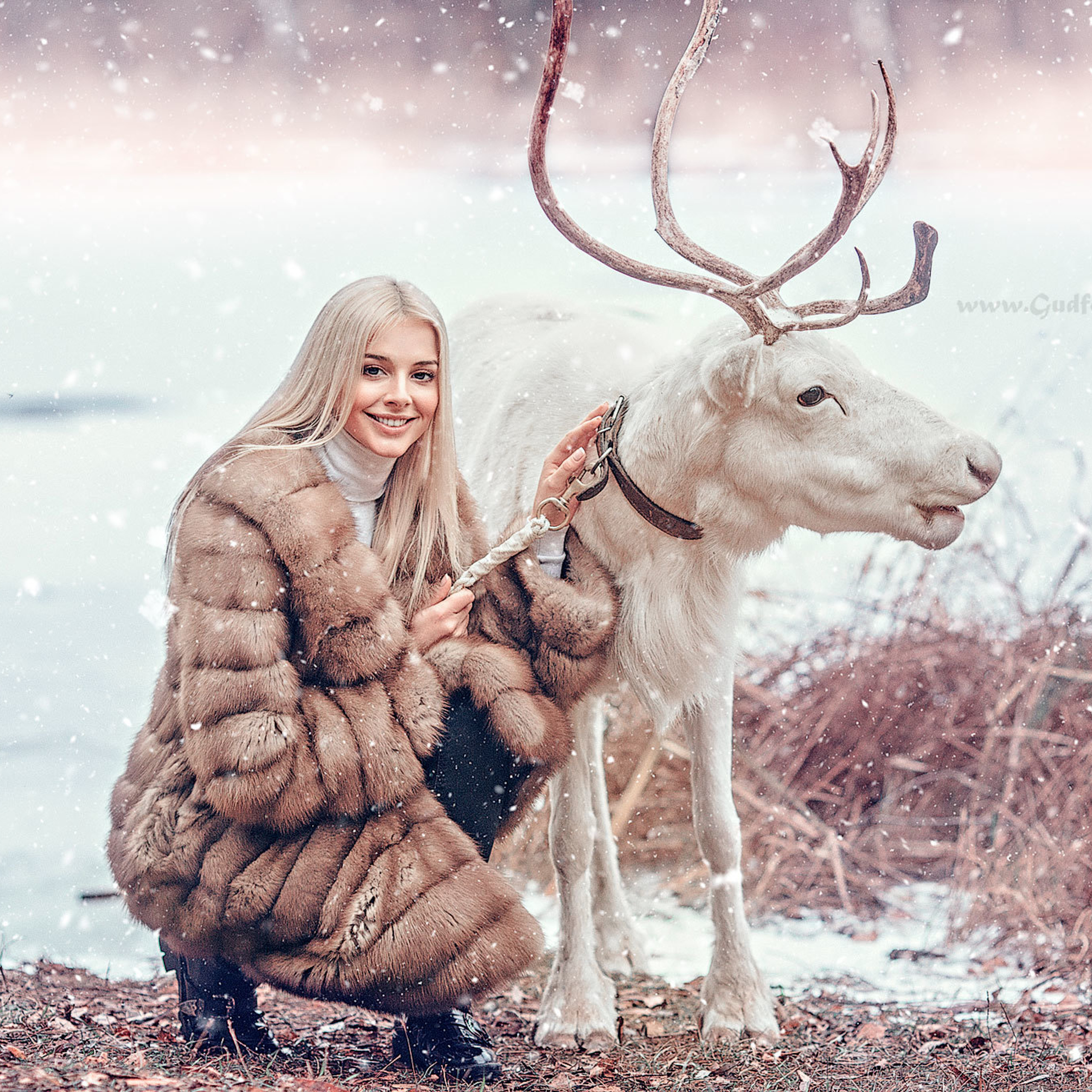 Красивая девушка блондинка с белым оленем в шубе зимой