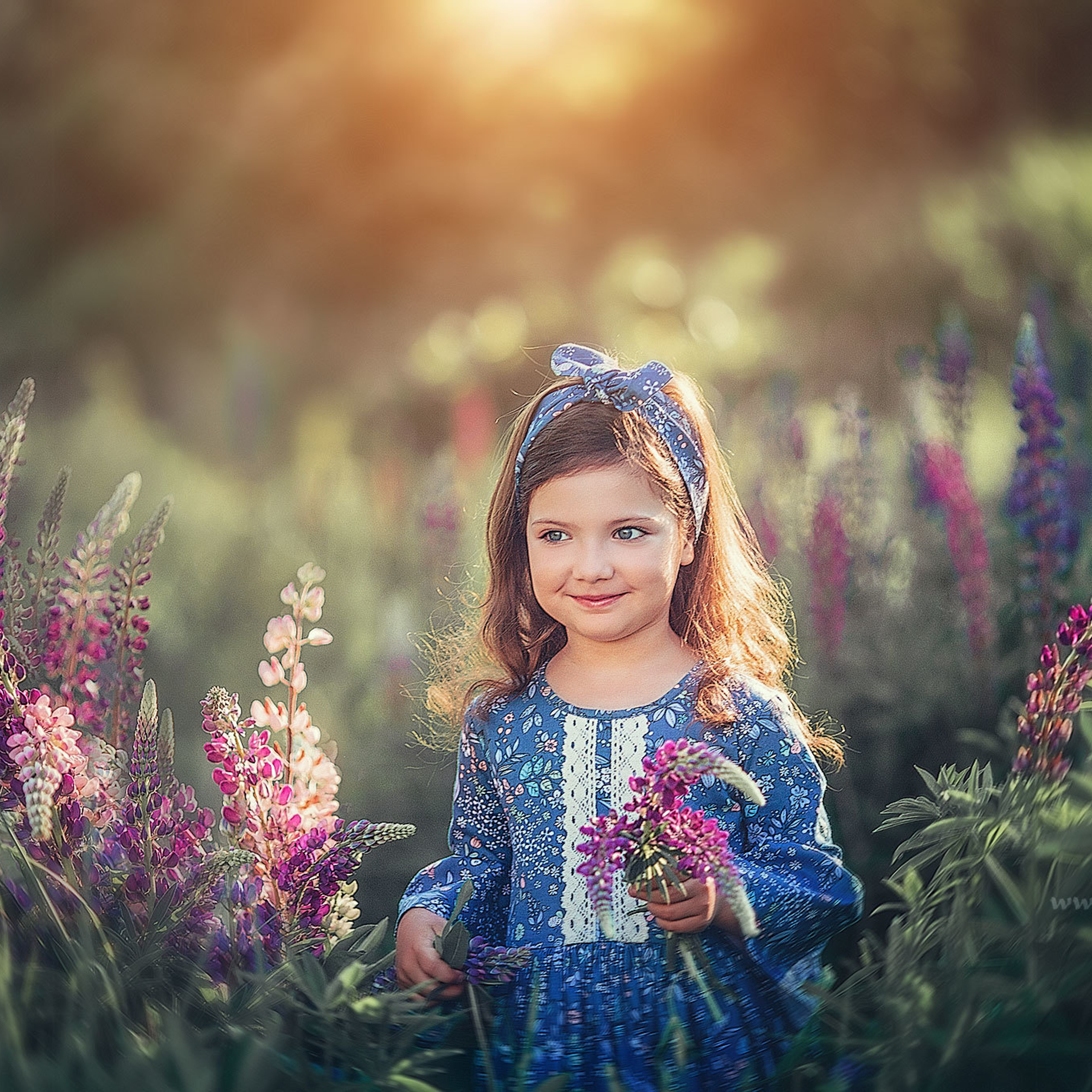 Девочка 5 лет в поле люпинов летом