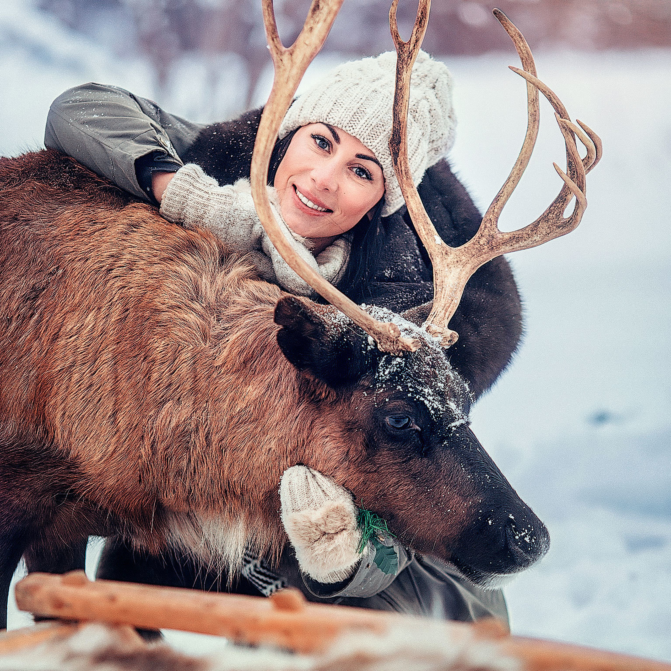 Девушка обнимает коричневого северного оленя зимой на снегу портрет