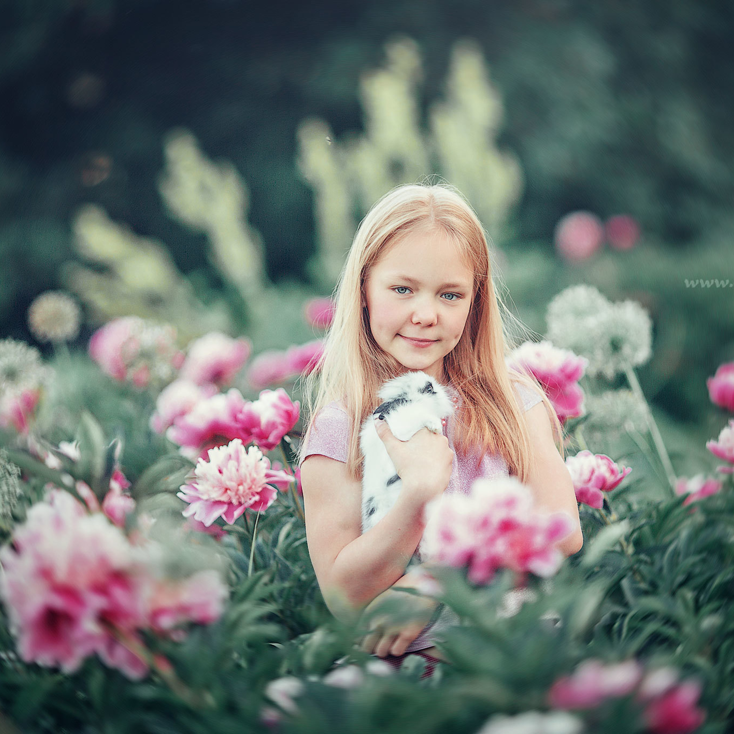 Девочка  блондинка 10 лет держит в руках белого кролика в цветах розовые пионы