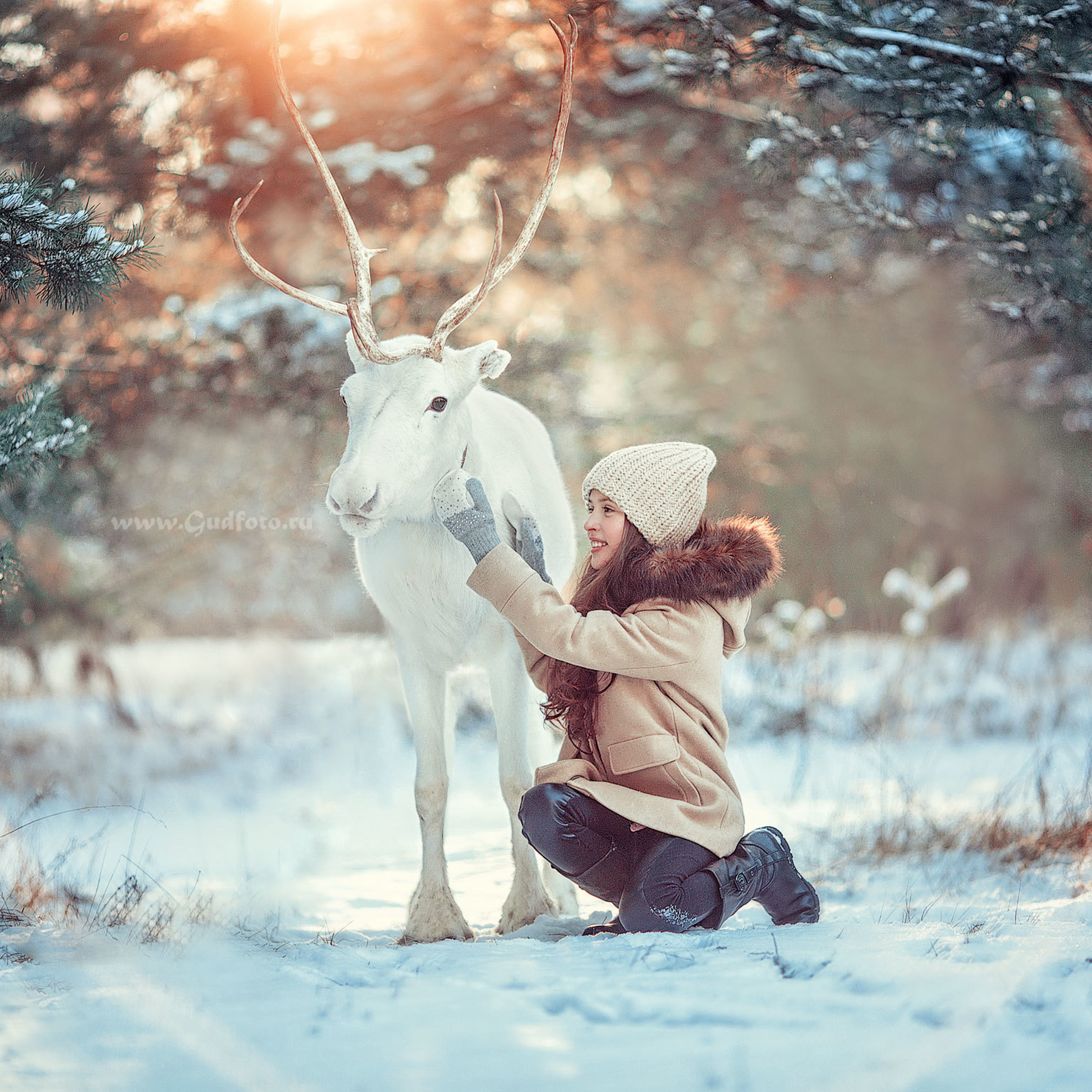 Зимняя фотосессия с белым оленем на снегу девочка держит оленя