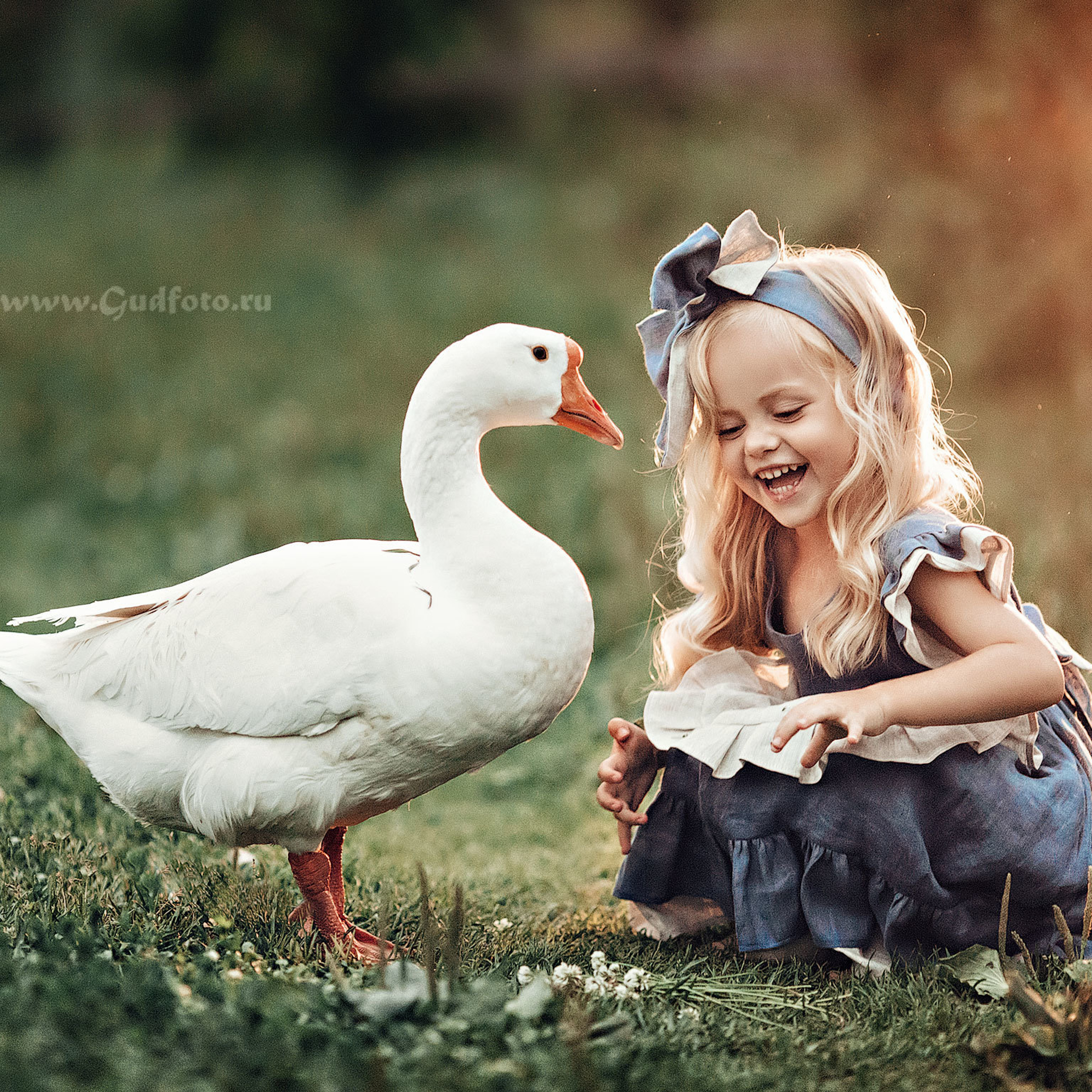 Красивая девочка со светлыми волосами в голубом платье сидит на траве с гусем