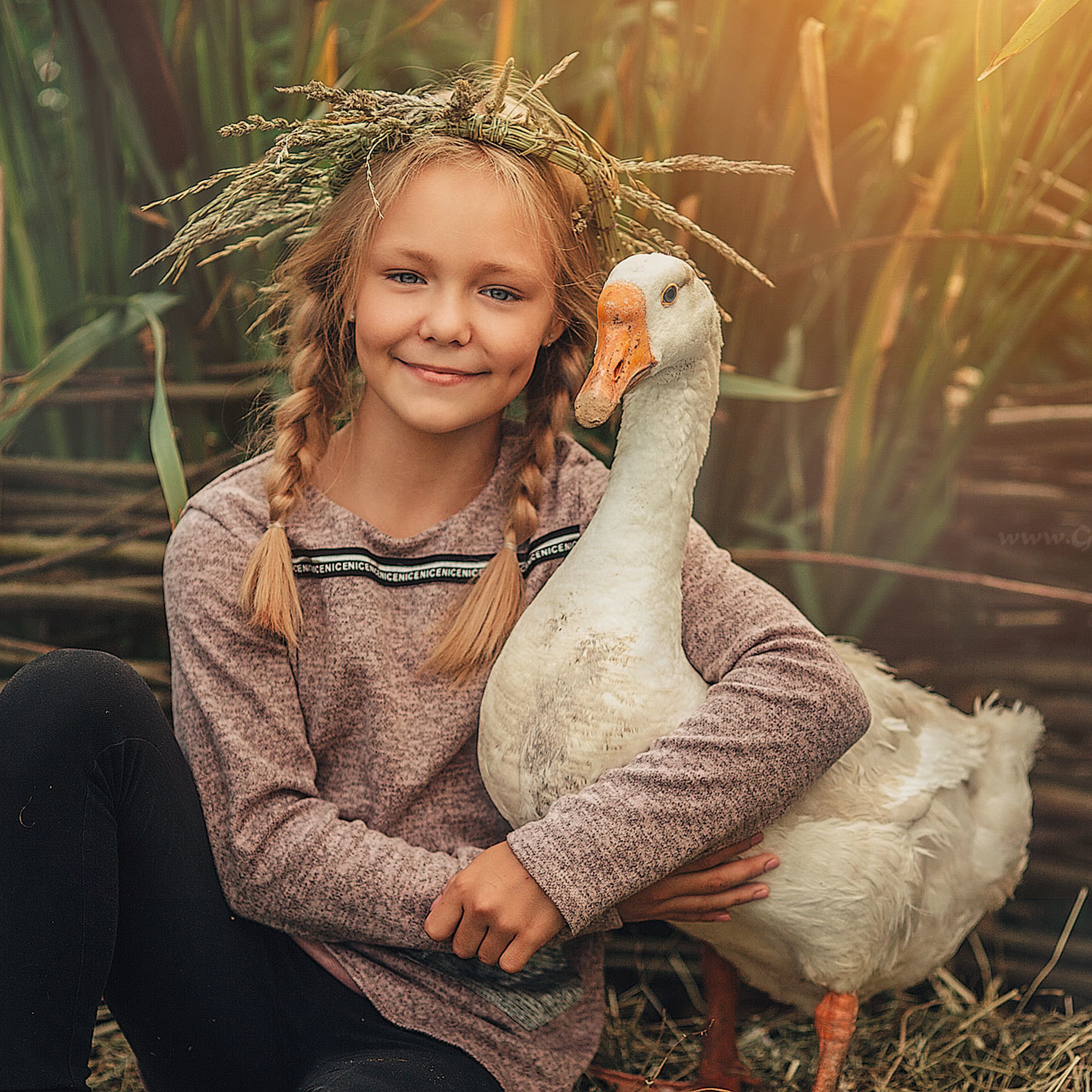 Девочка в венке из цветов на голове обнимает белого гуся сидит на сене