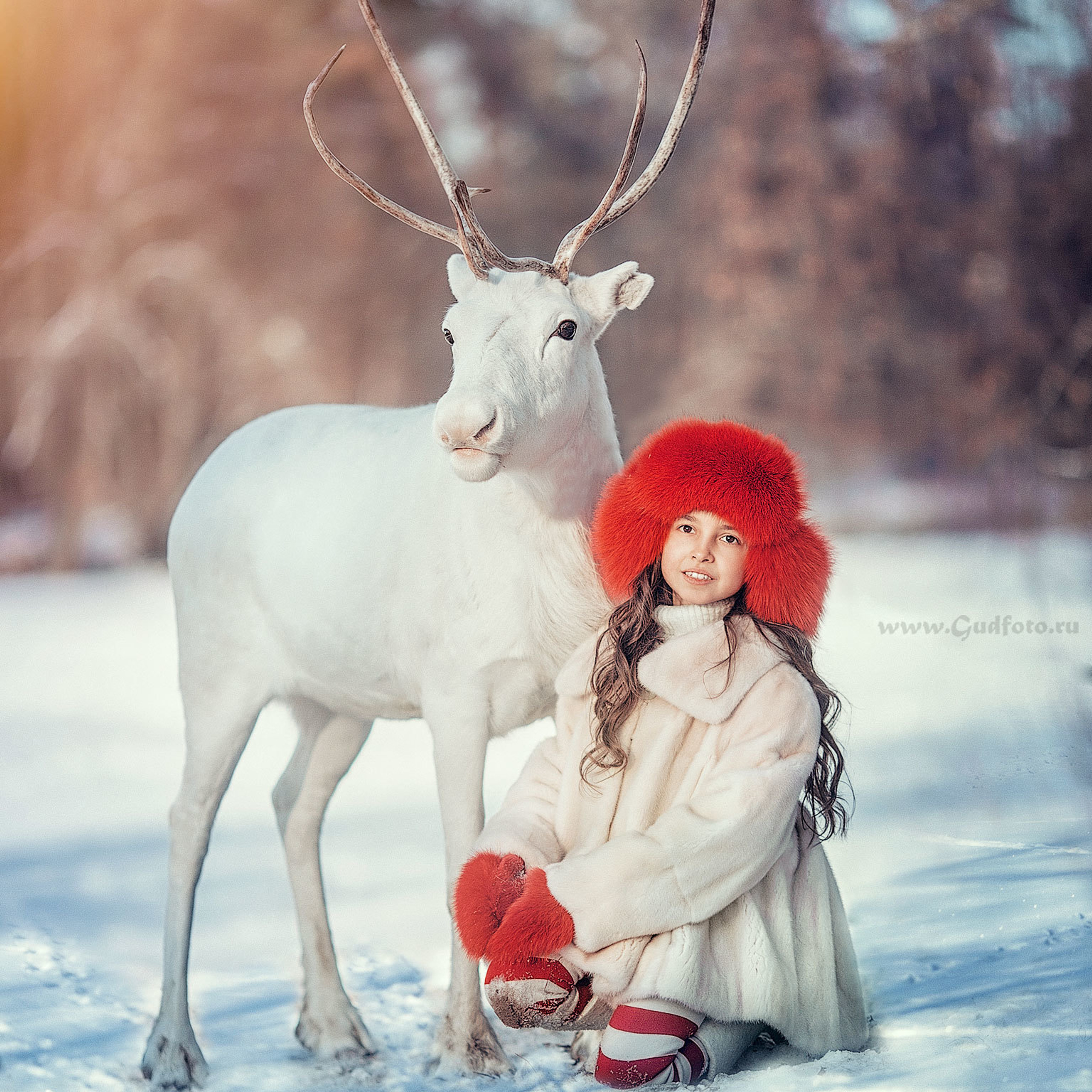 Белый олень и девочка в белой шубке и красной меховой шапке зимой на снегу