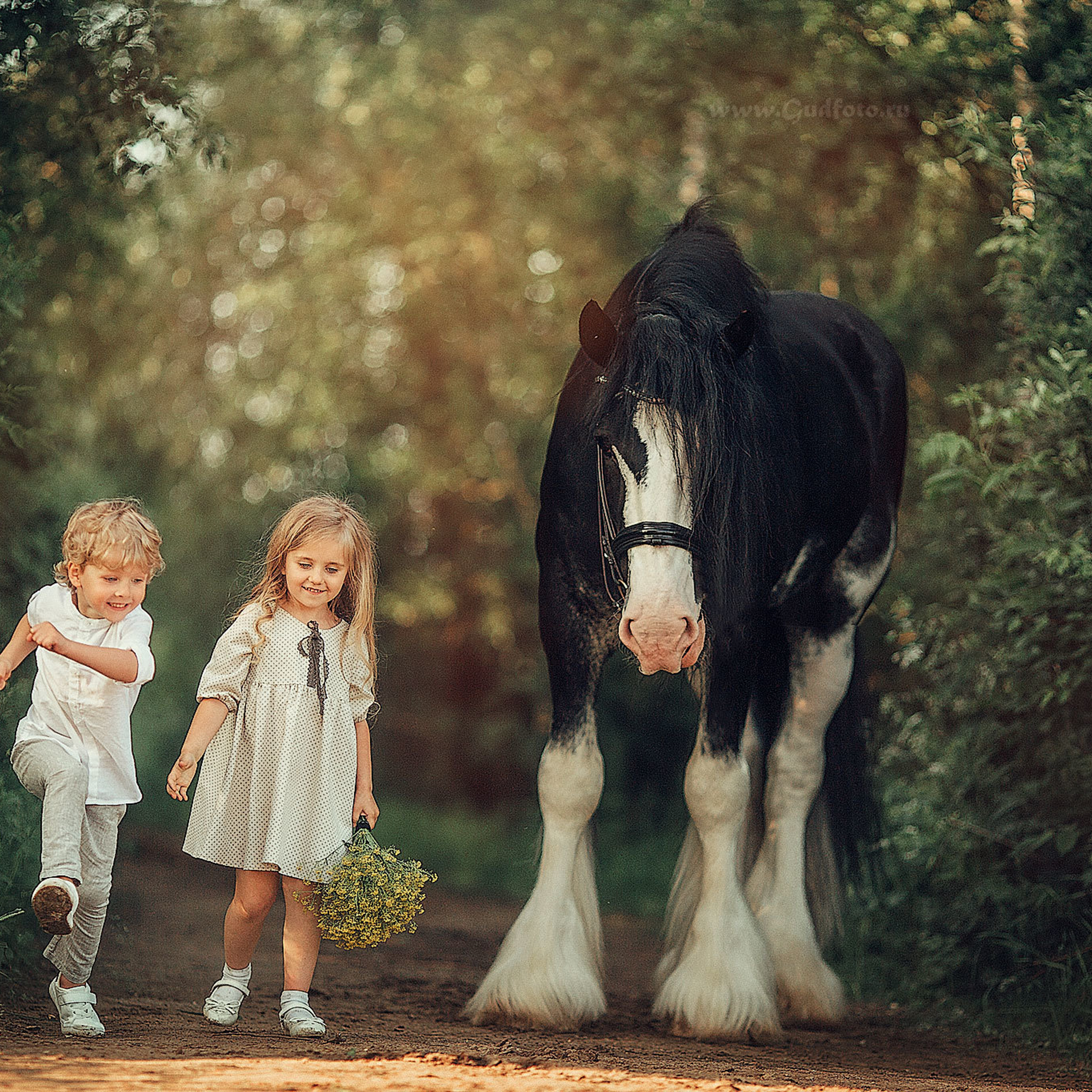 мальчик и девочка идут рядом с лошадью породы клейдесдаль