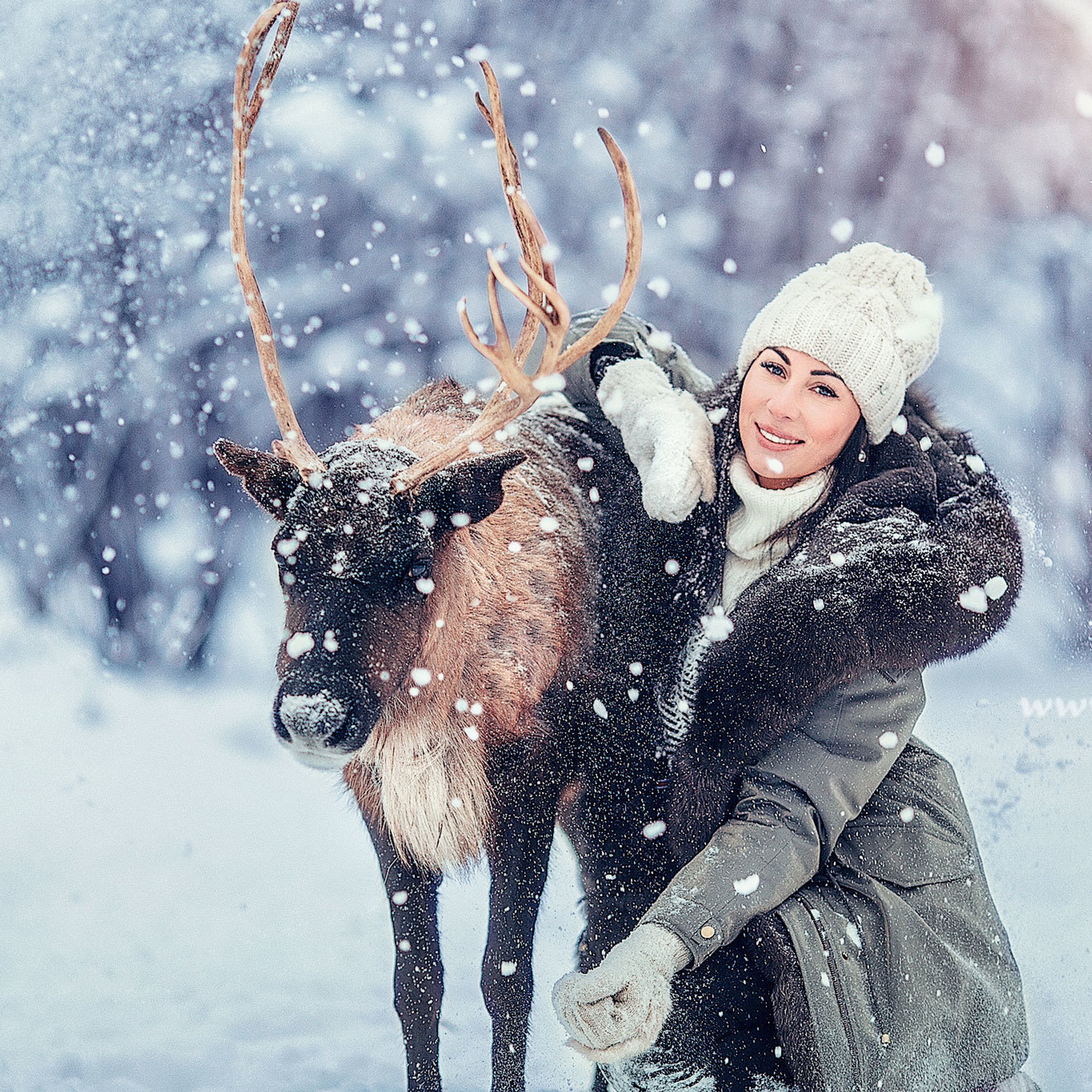 Девушка обнимает коричневого северного оленя зимой на снегу портрет