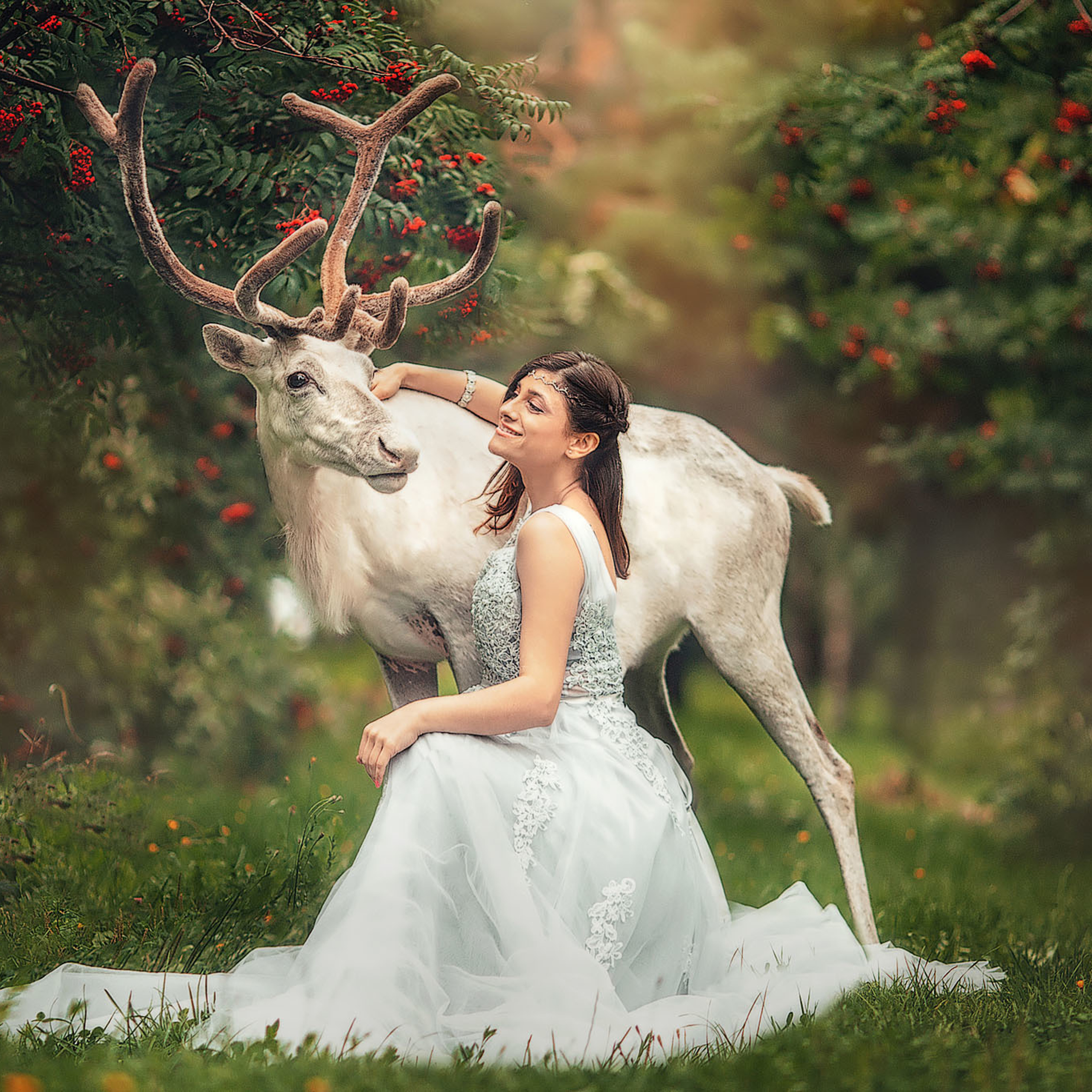 Беременная девушка сидит с белым оленем летом на закате в парке