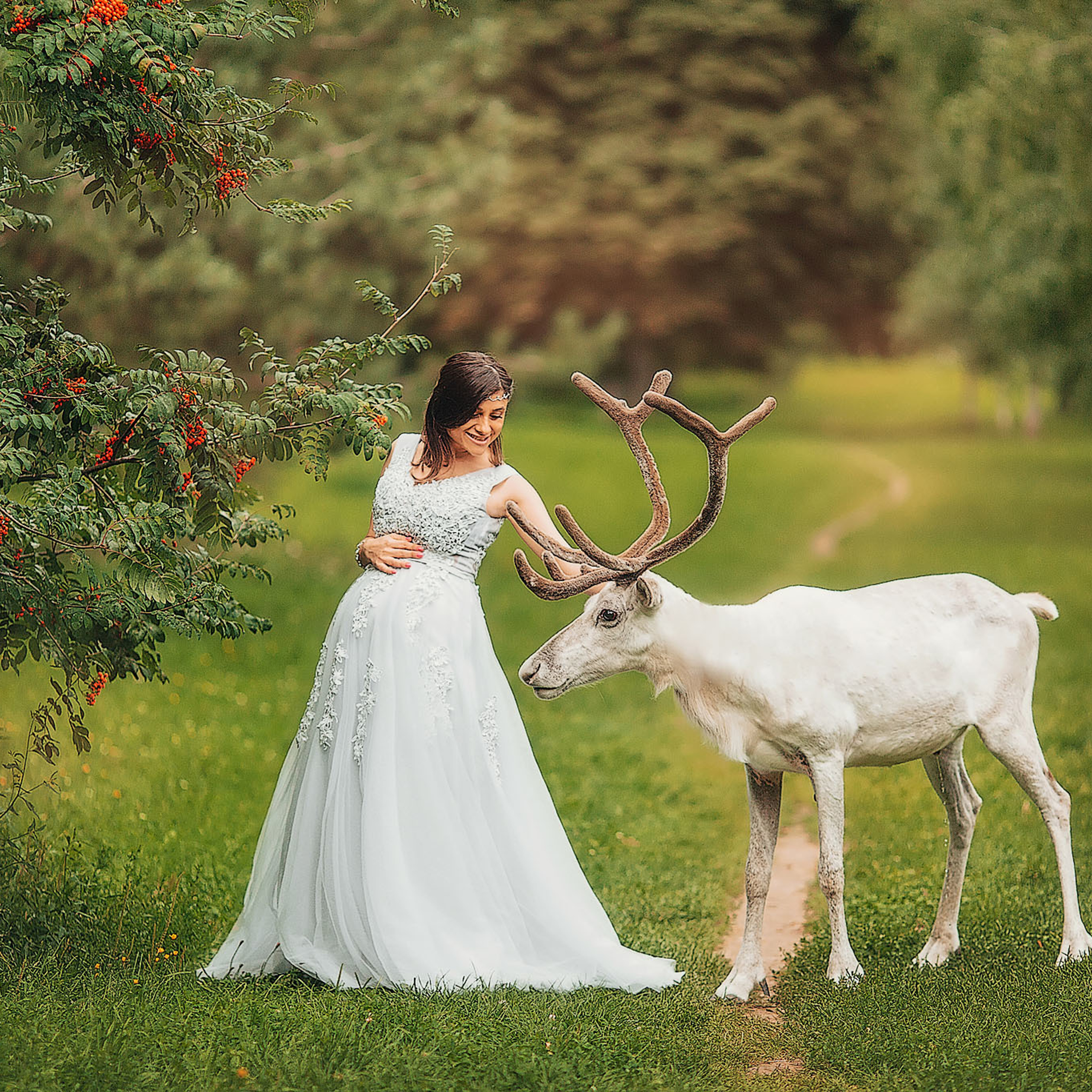 Беременная девушка  с белым оленем летом на закате в парке