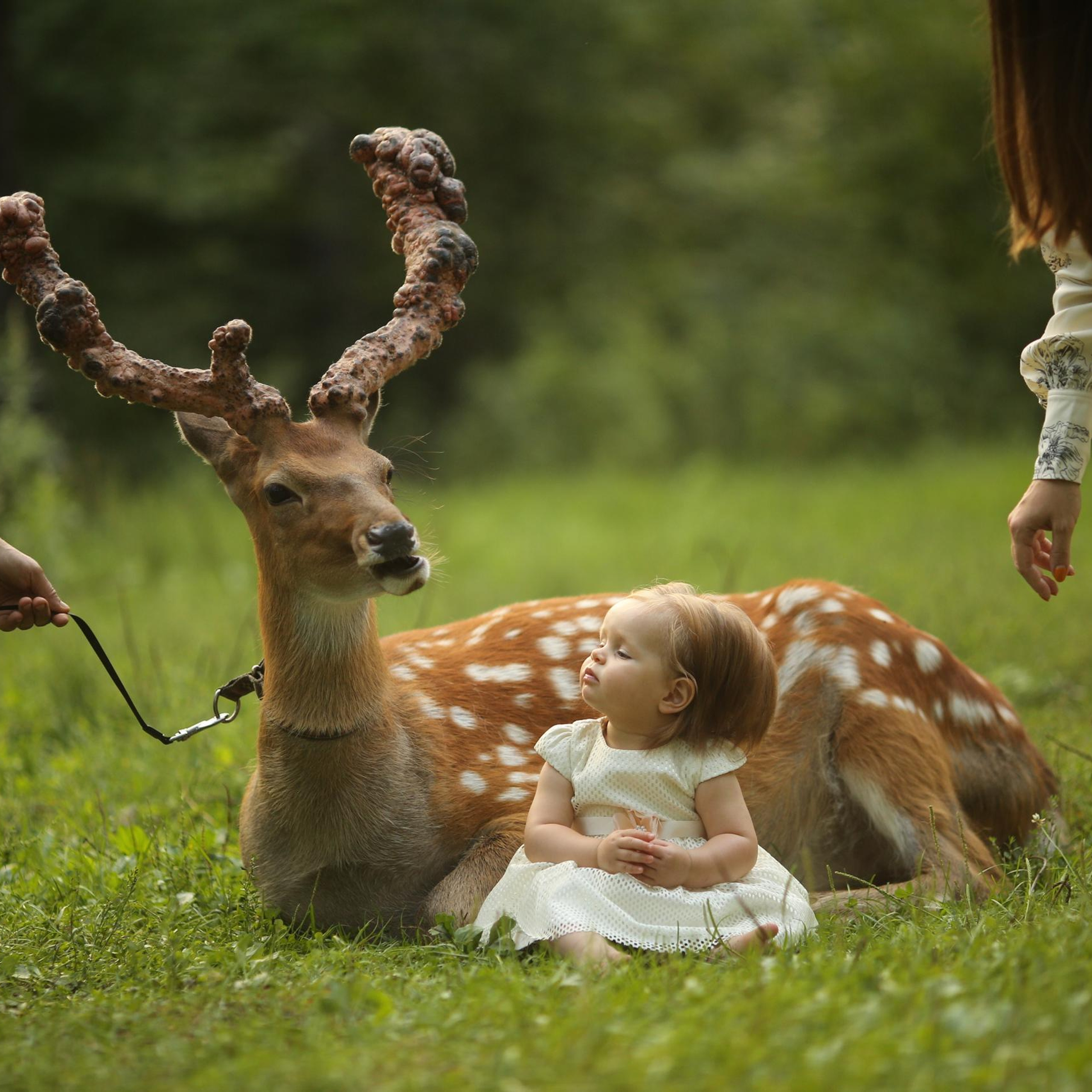 Отзывы. Детский и семейный фотограф с животными в Москве Гурьева Надежда