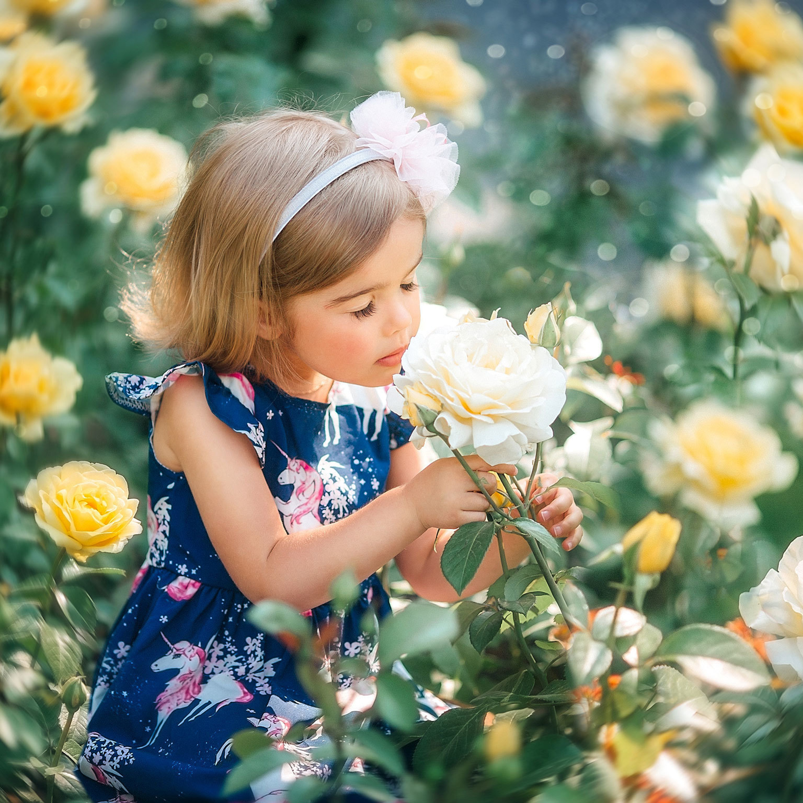 Девочка блондинка 5 лет нюхает цветы белые и желтые розы летом на клумбе