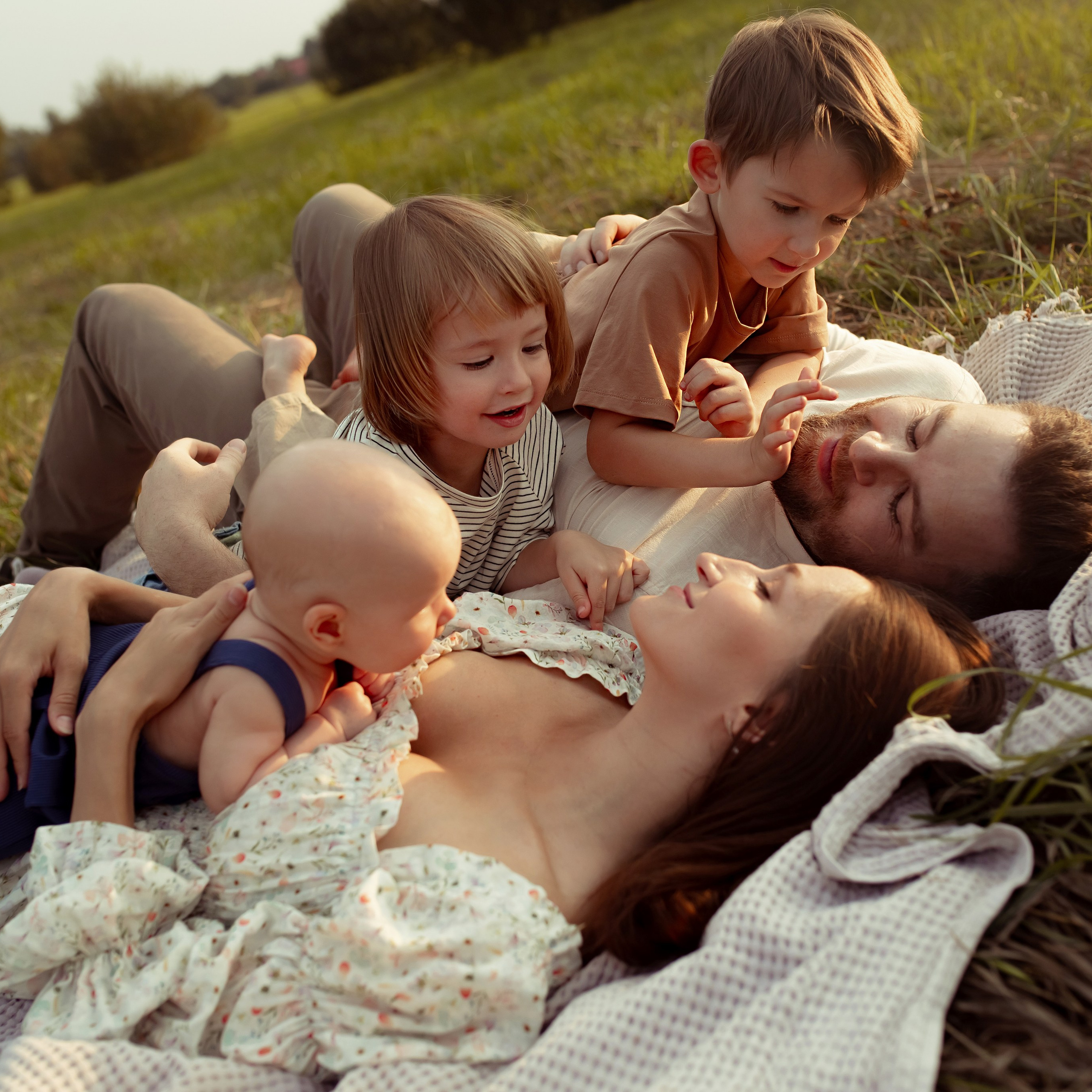 Встреча заката в полях