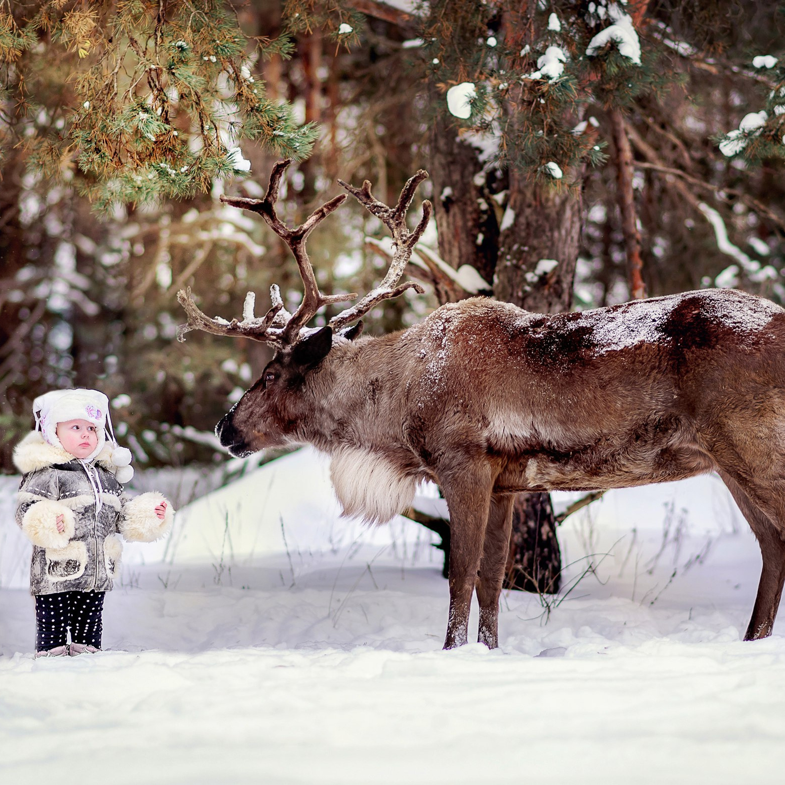 Дети. Любовь Владимирова Фотограф новорожденных и детей в Нижнем Новгороде
