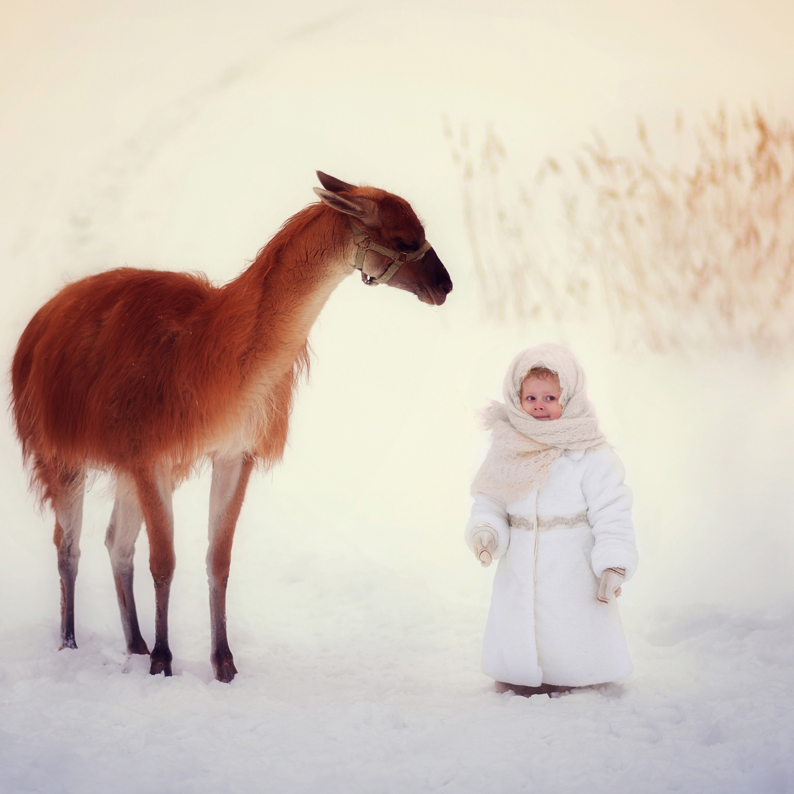 Дети. Любовь Владимирова Фотограф новорожденных и детей в Нижнем Новгороде
