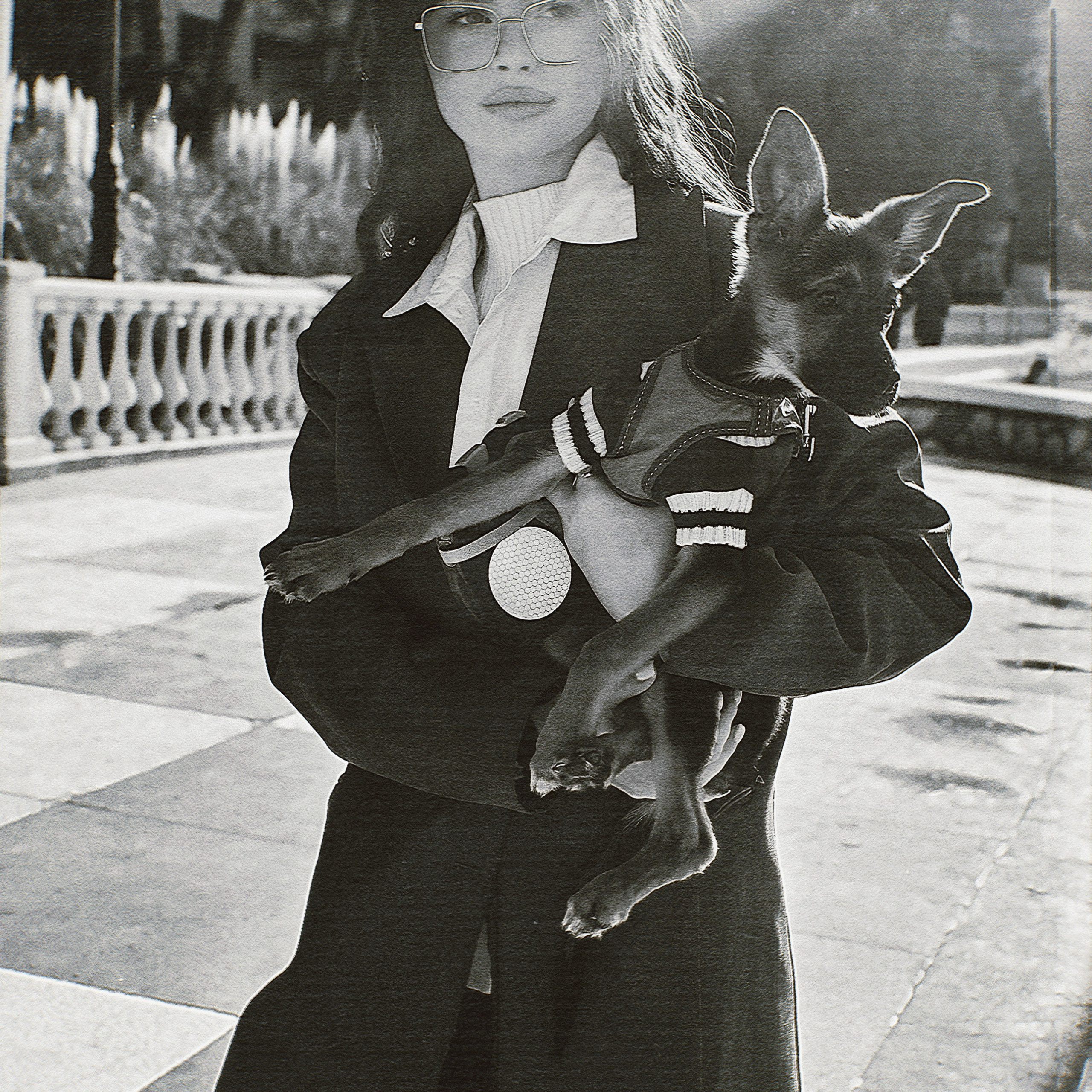 Дама с собачкой