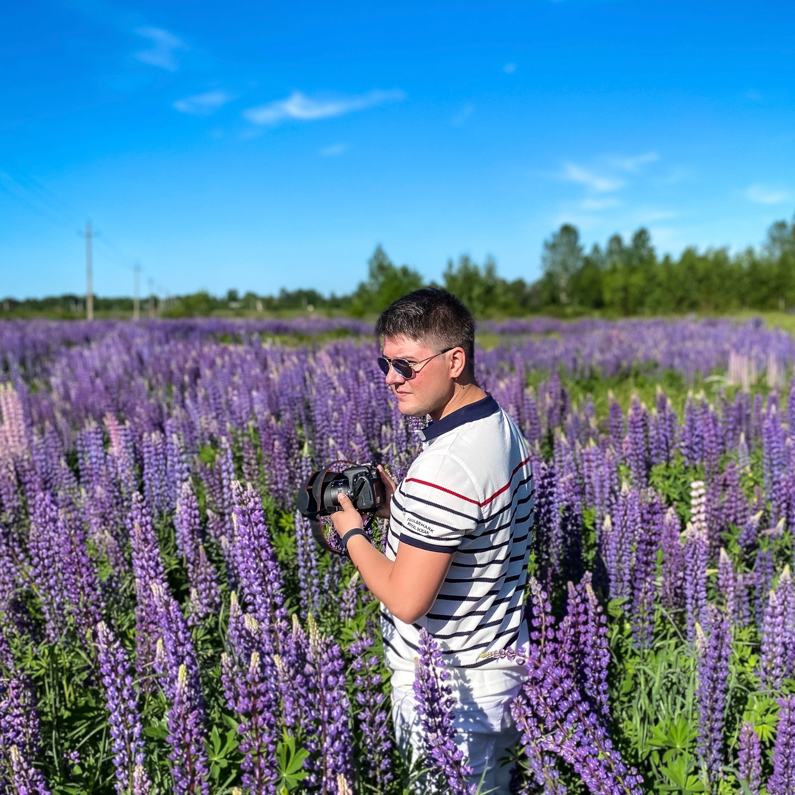 Отзывы. Фотограф Алена Звездина