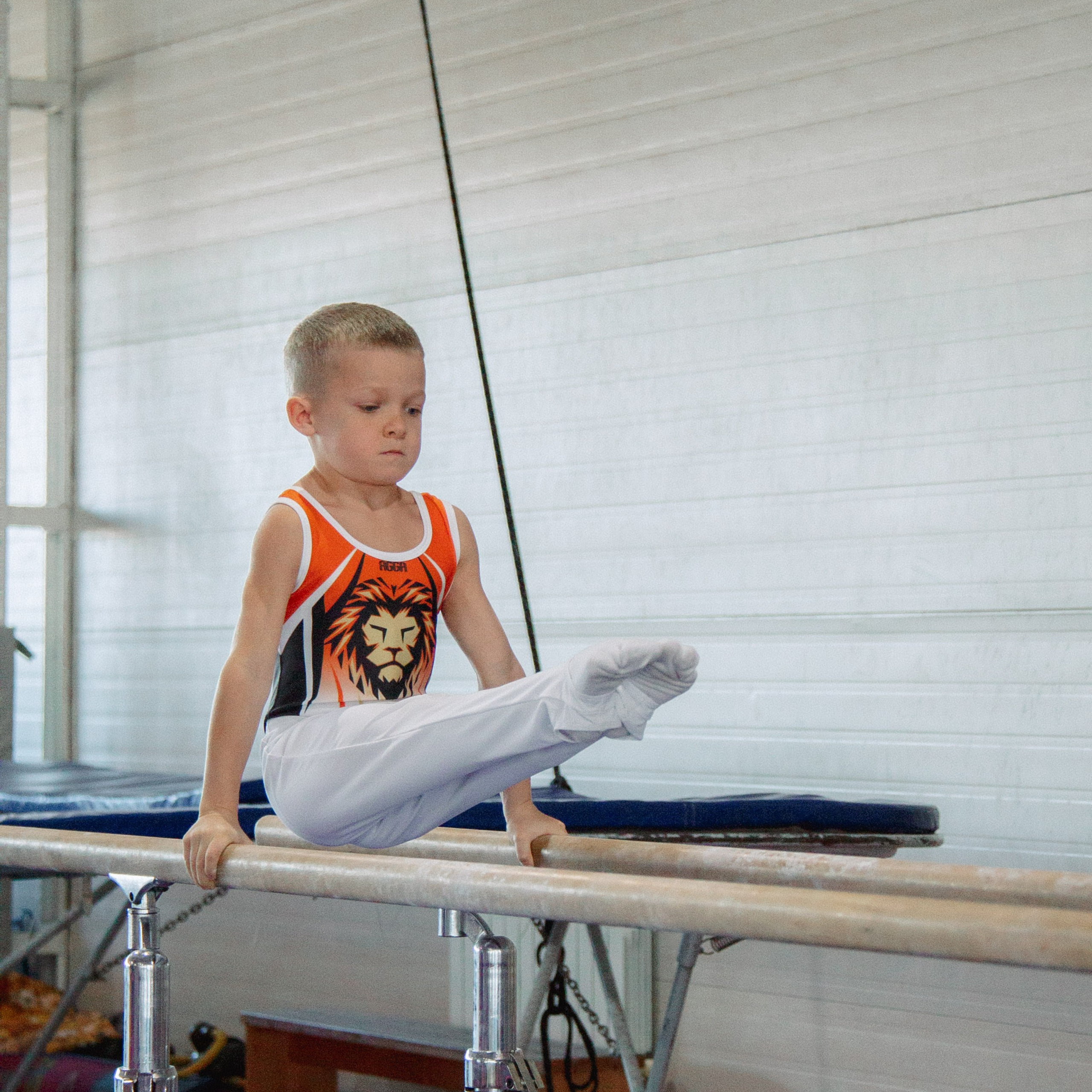 Академия гимнастики Голоцуцкова Антона