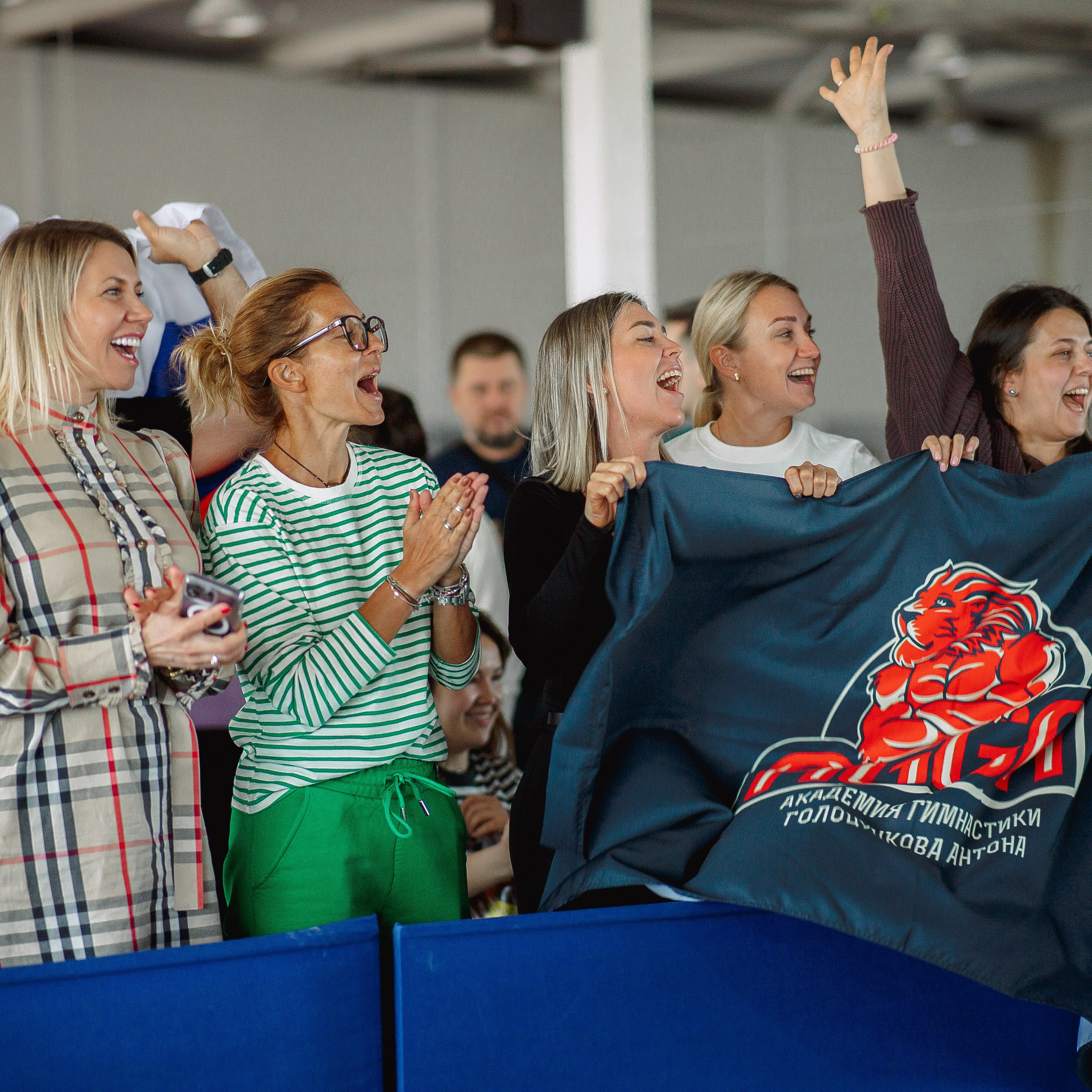 Академия гимнастики Голоцуцкова Антона