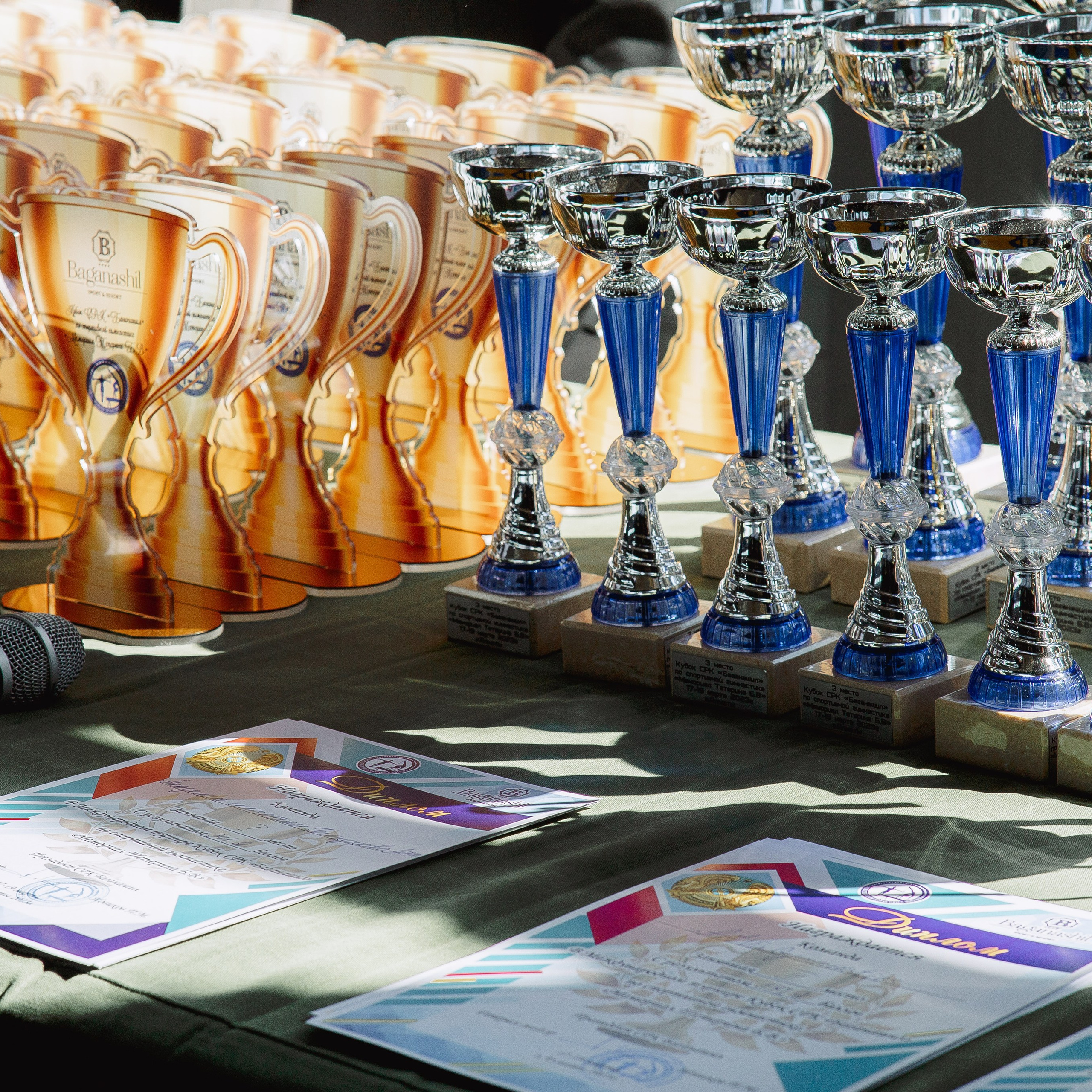 Академия гимнастики Голоцуцкова Антона