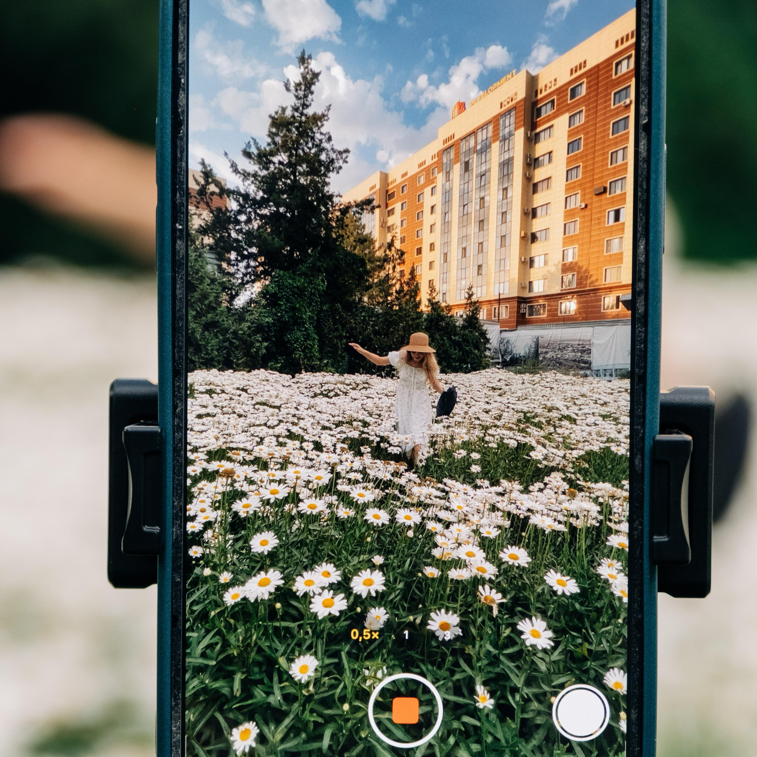 Саша Ромашка