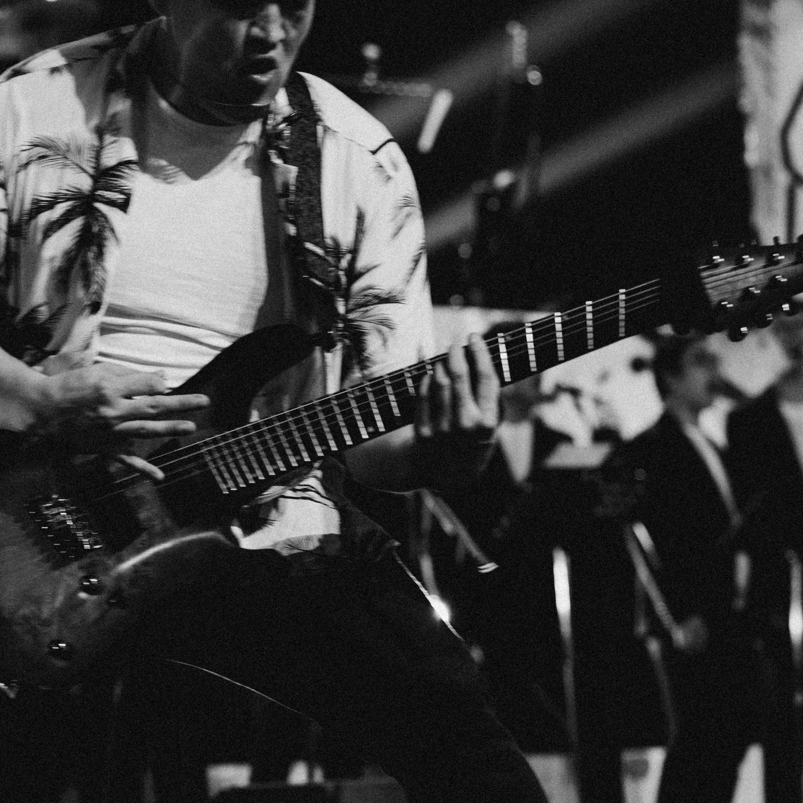 ELYAERNS — Эльдана Эрнес