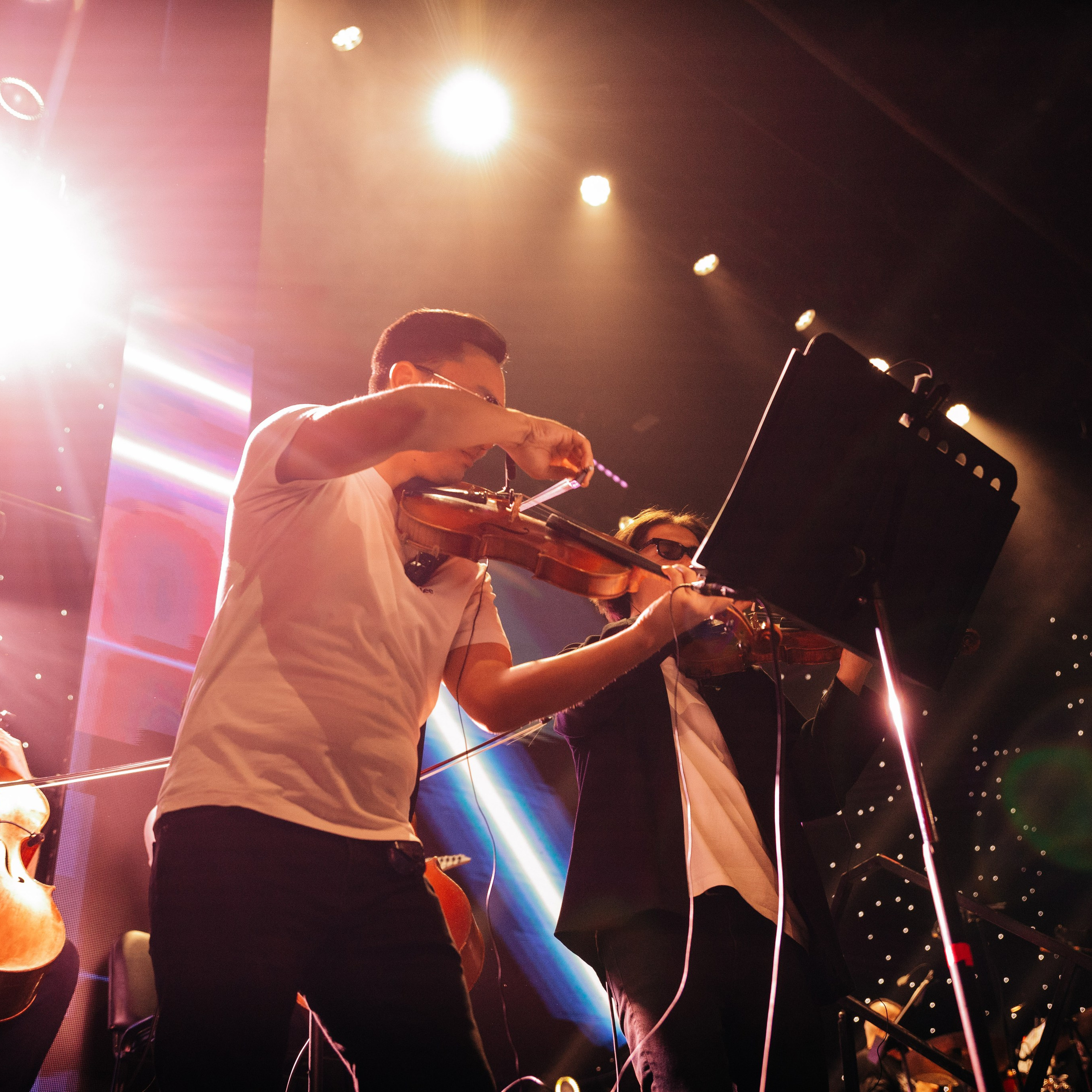 ELYAERNS — Эльдана Эрнес