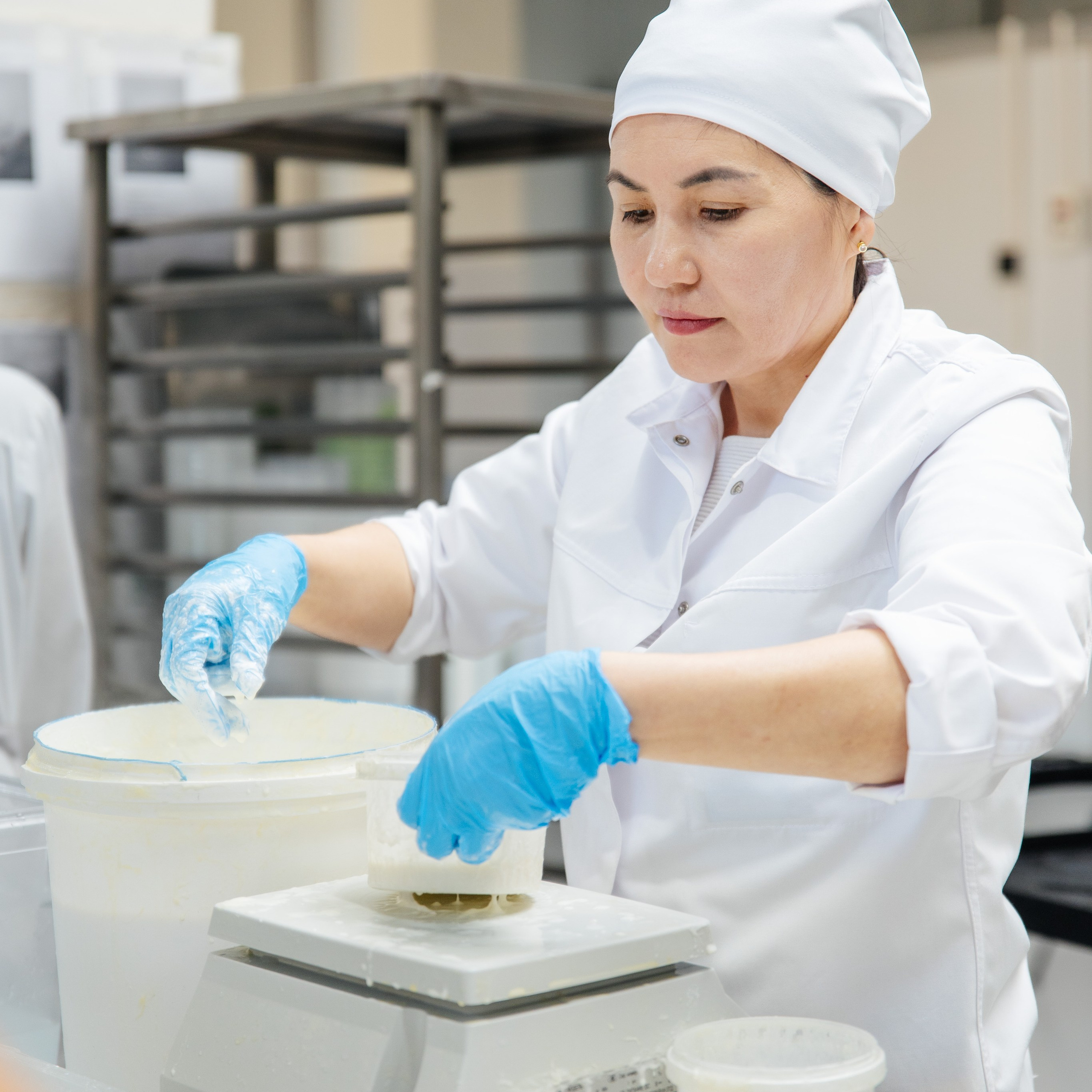 Произодство СЫРНЫЕ ТРАДИЦИИ / СЫРОВАРНЯ