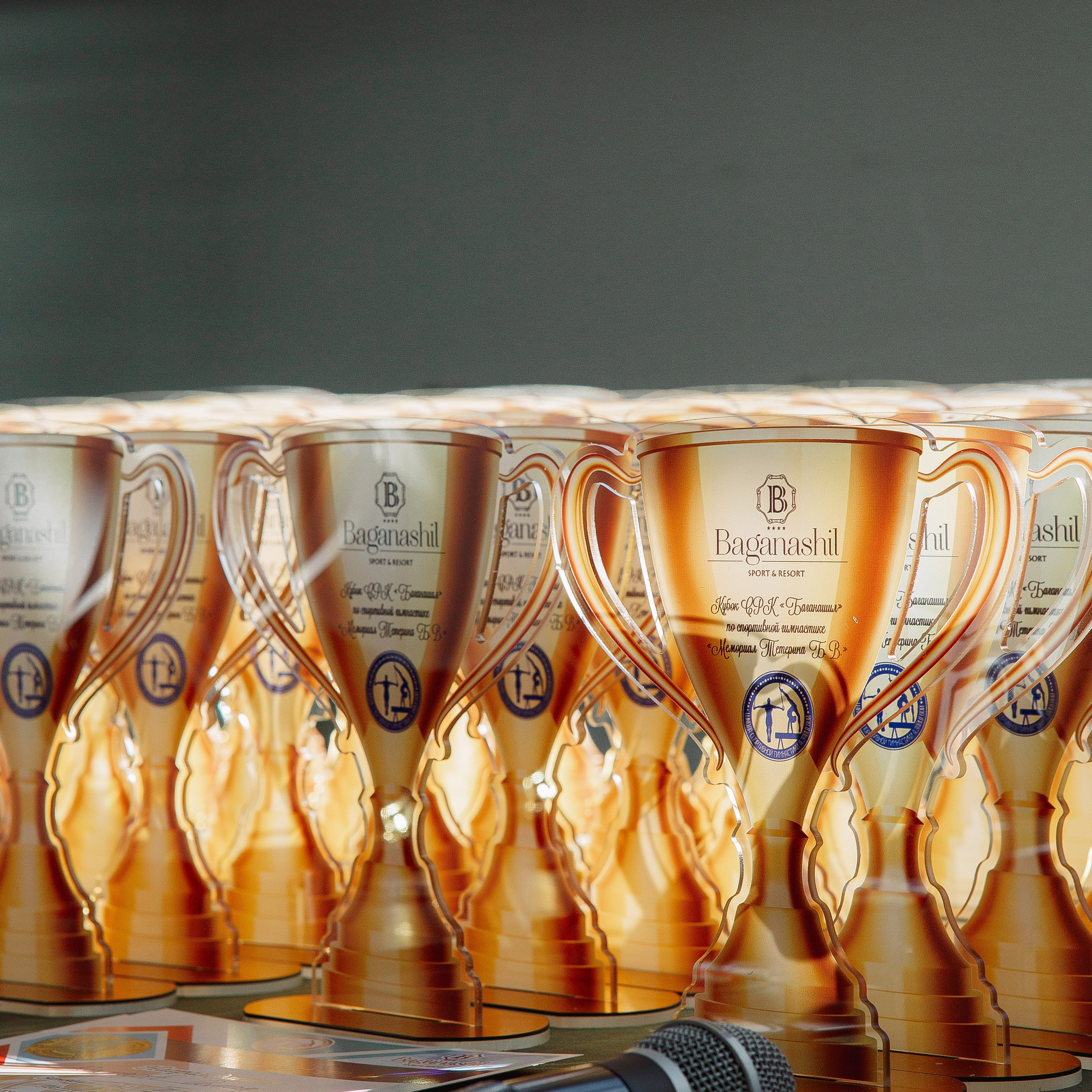 Академия гимнастики Голоцуцкова Антона