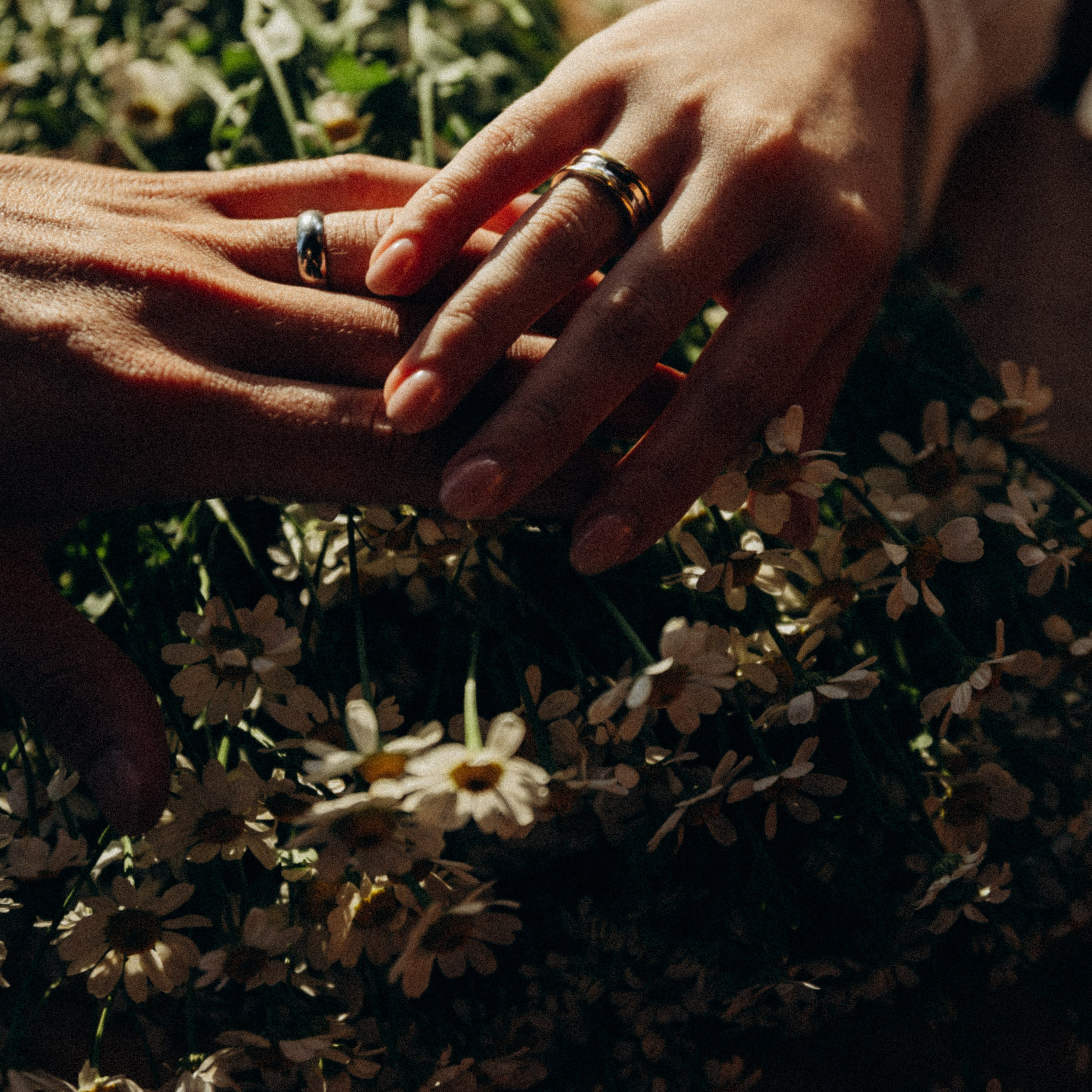 Заңғар ❤ Ботагөз