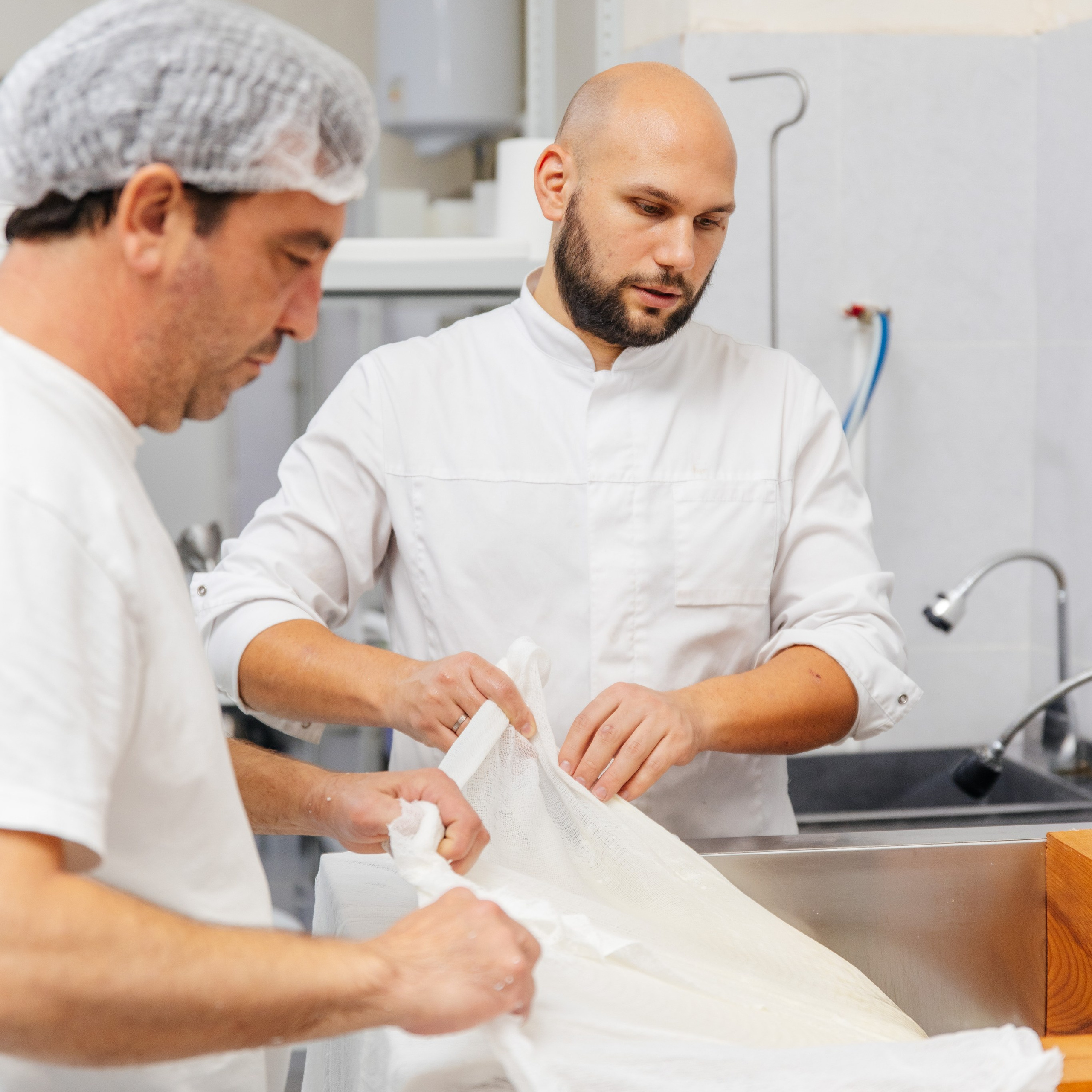 Произодство СЫРНЫЕ ТРАДИЦИИ / СЫРОВАРНЯ