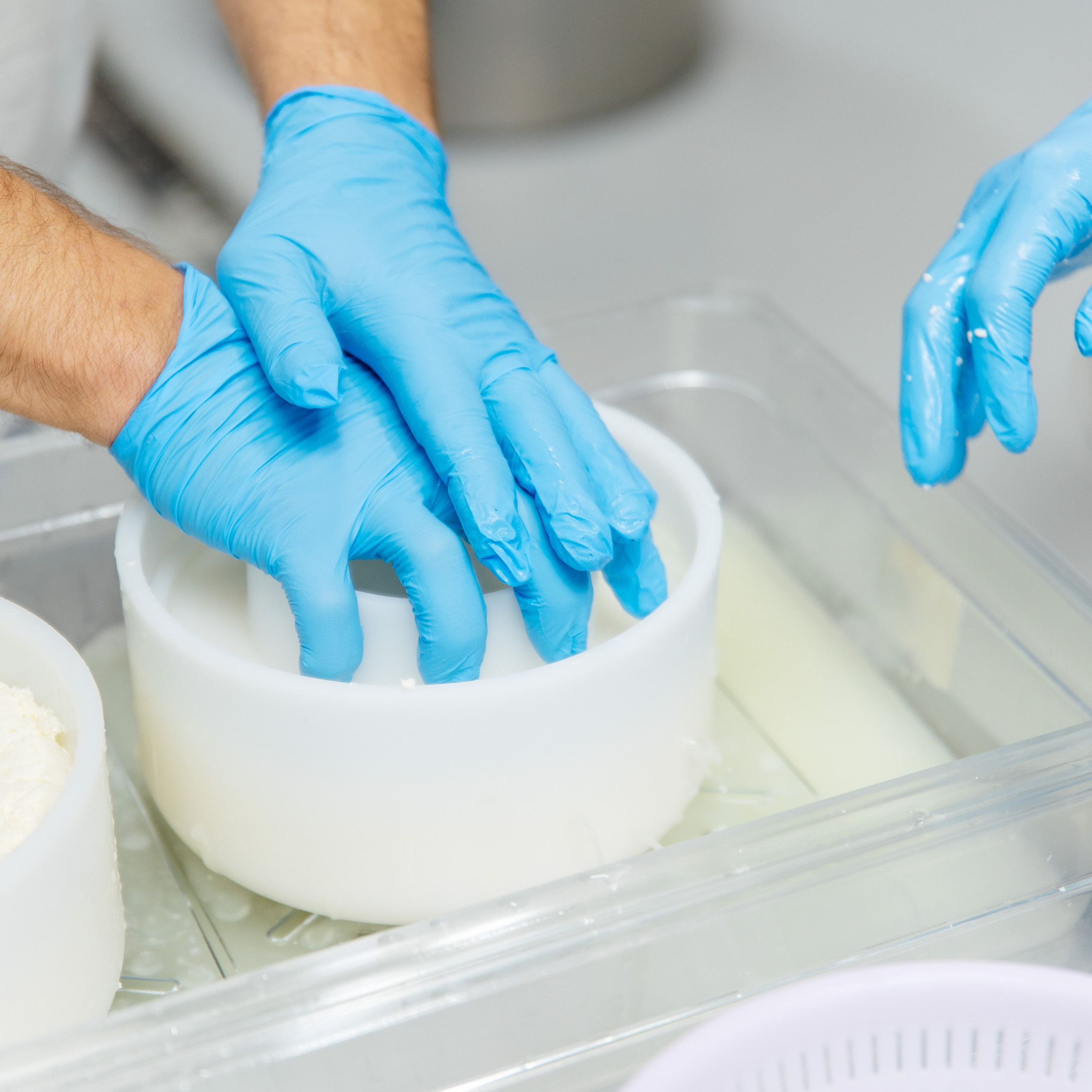 Произодство СЫРНЫЕ ТРАДИЦИИ / СЫРОВАРНЯ