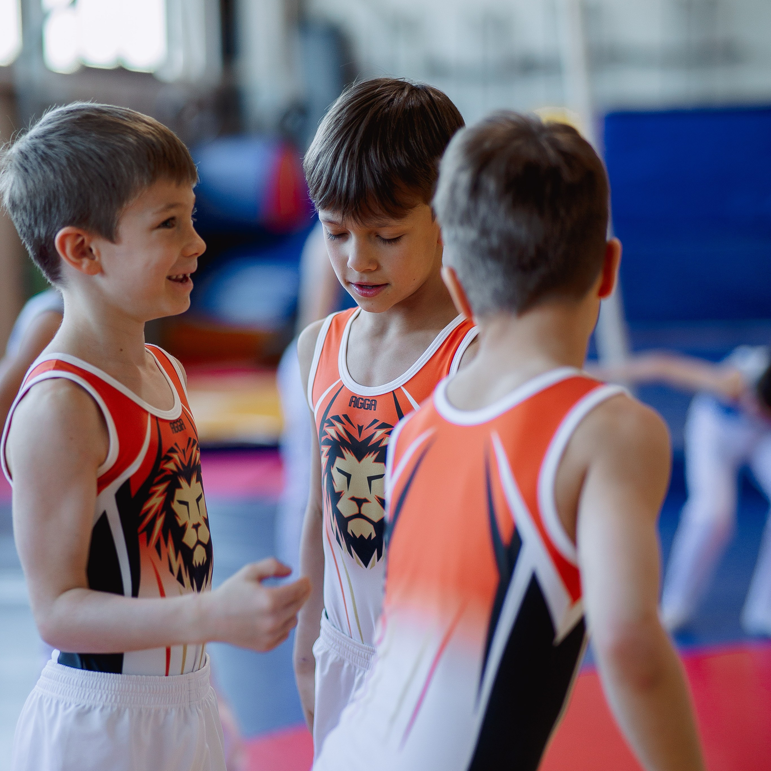 Академия гимнастики Голоцуцкова Антона