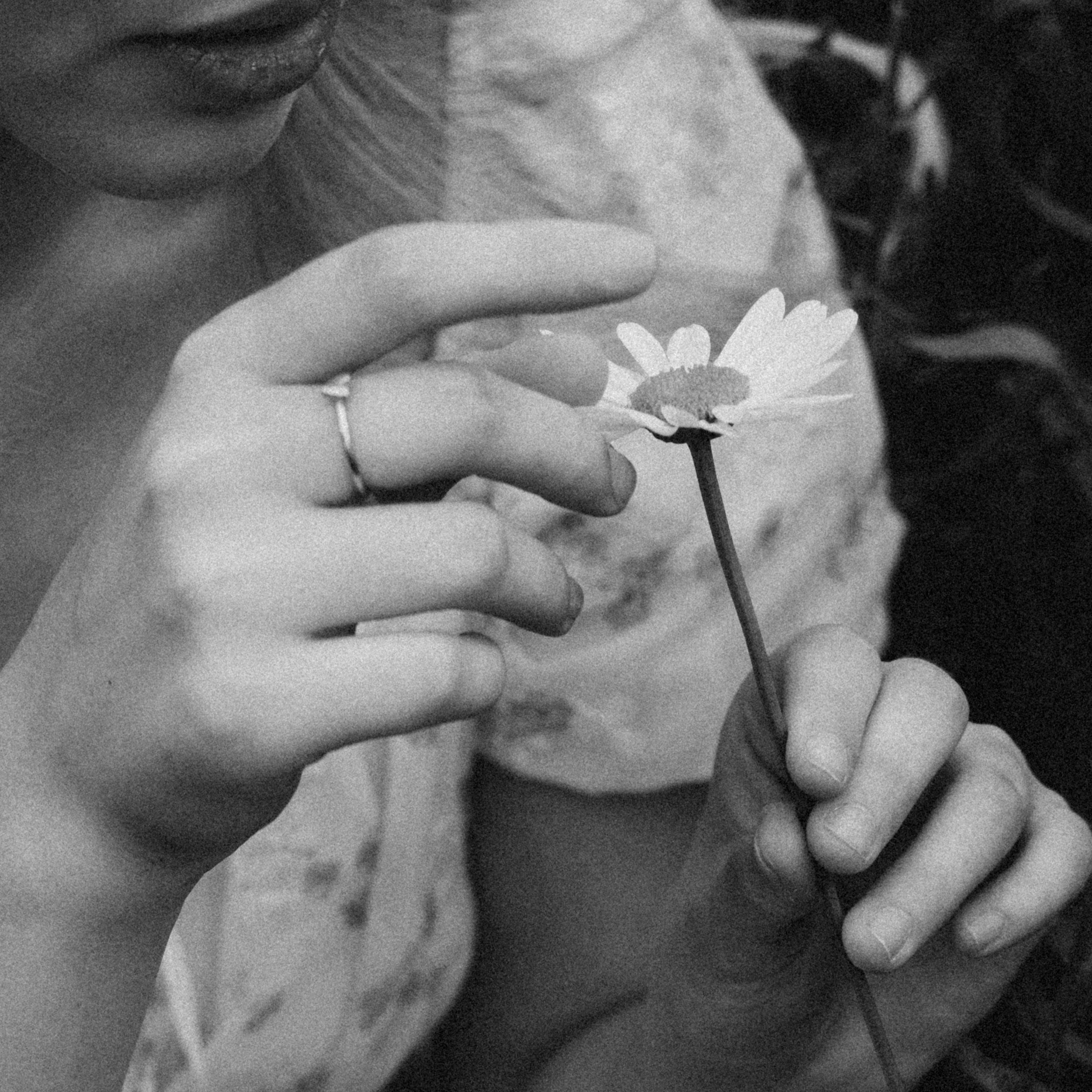 Саша Ромашка