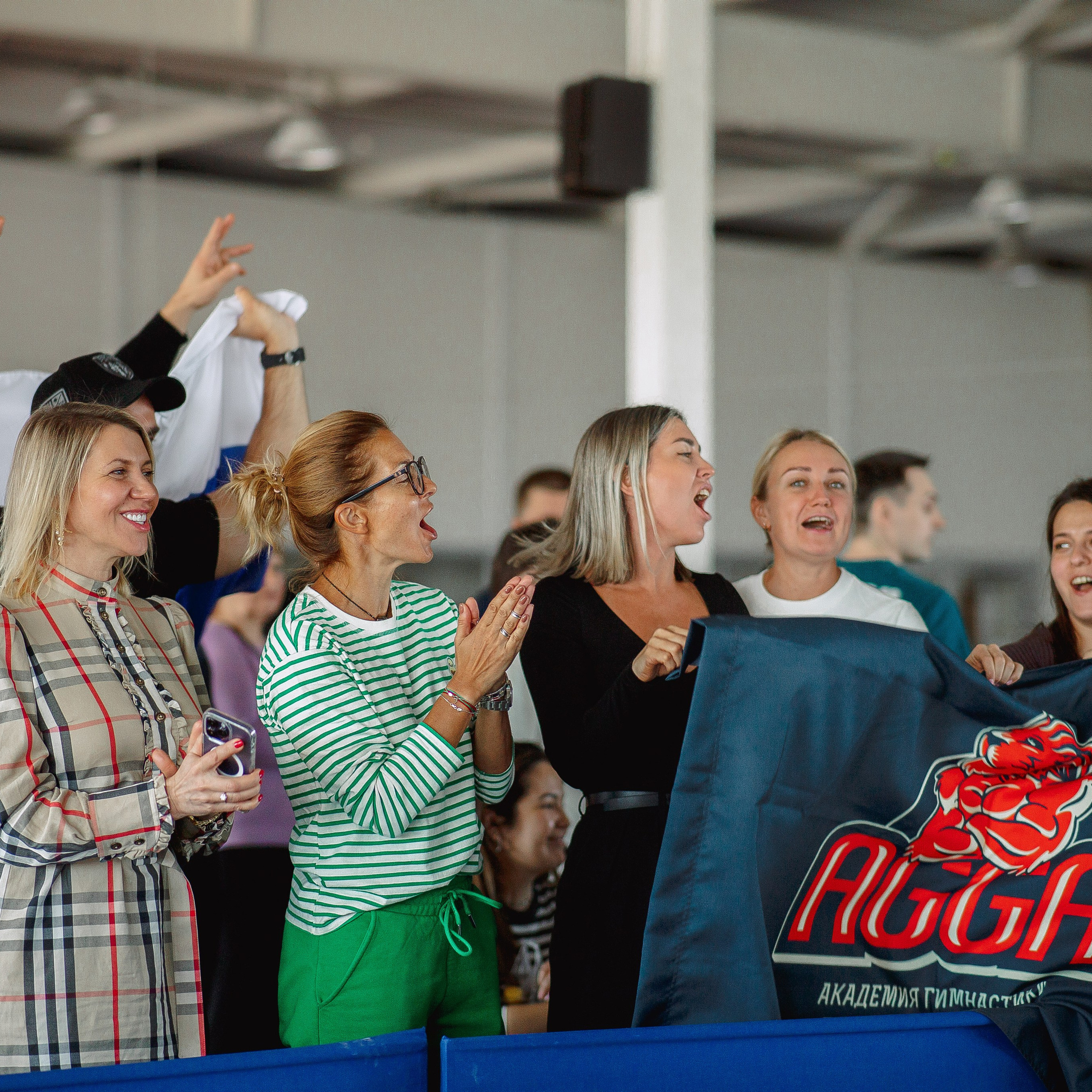 Академия гимнастики Голоцуцкова Антона