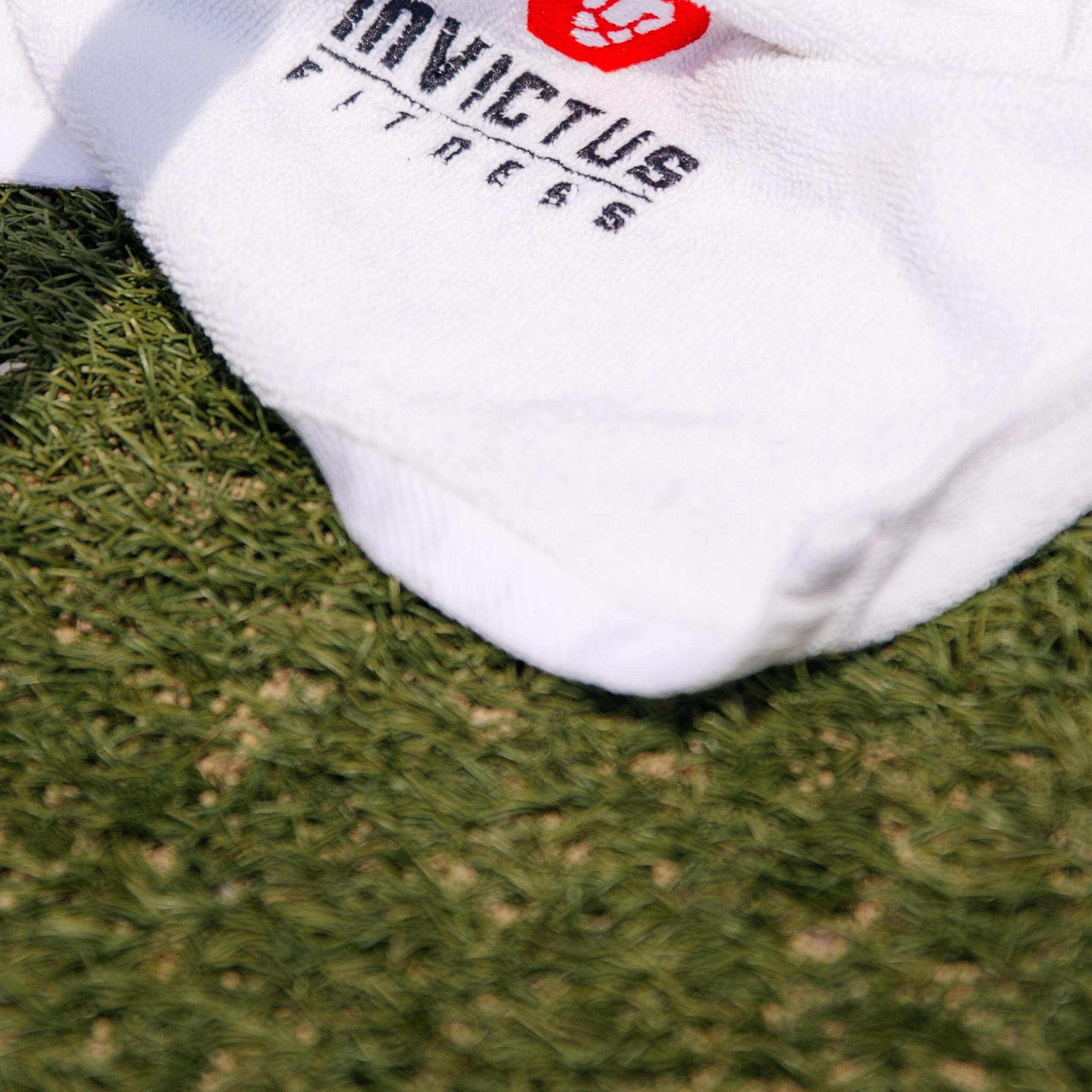 INVICTUS Битва 30 Клубов