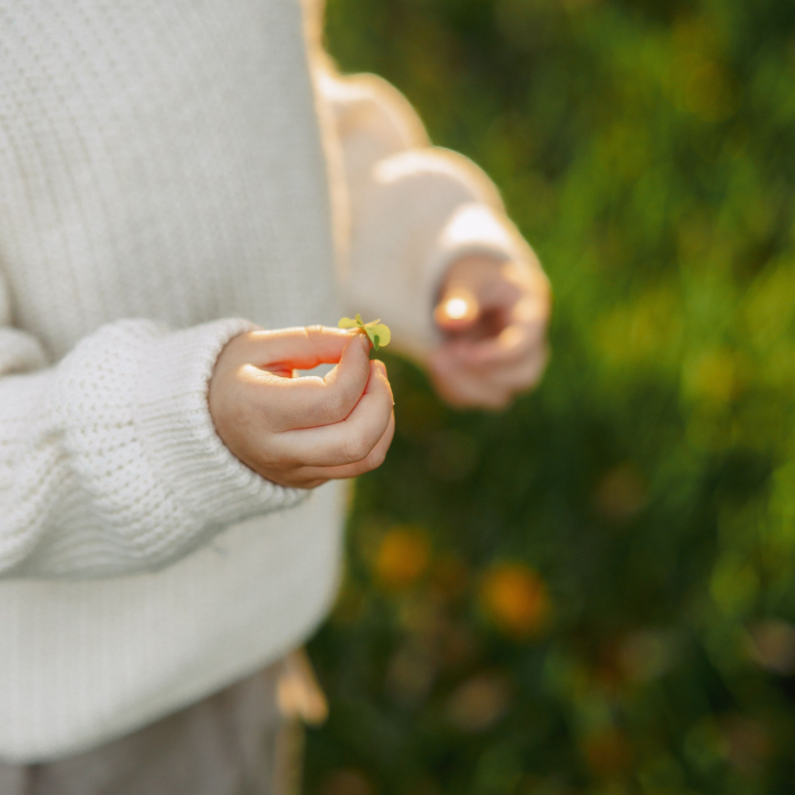 Семья на природе