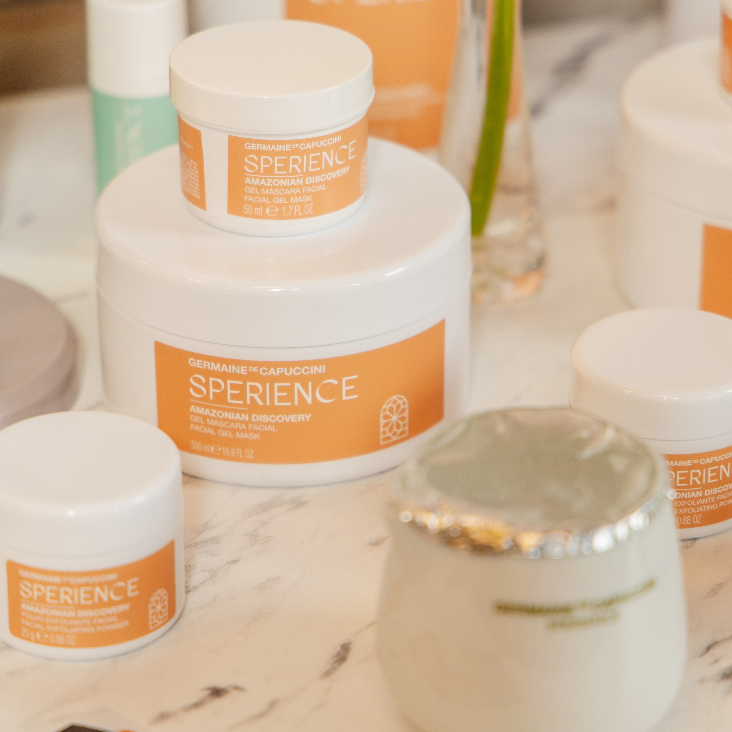 Germaine de Capuccini international congress