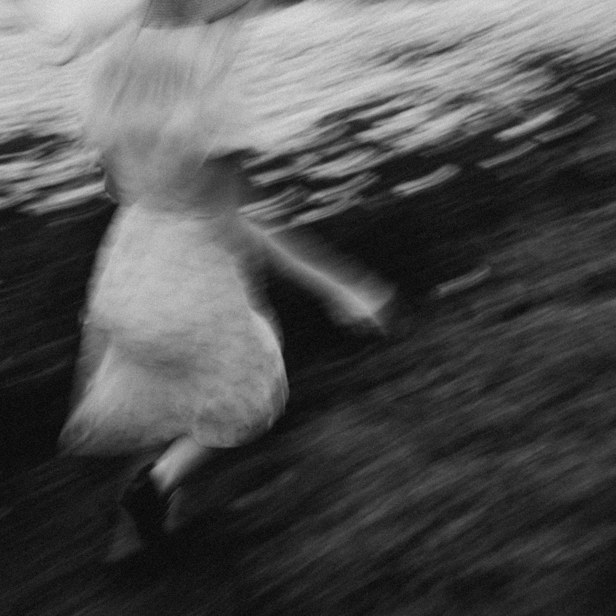 Саша Ромашка